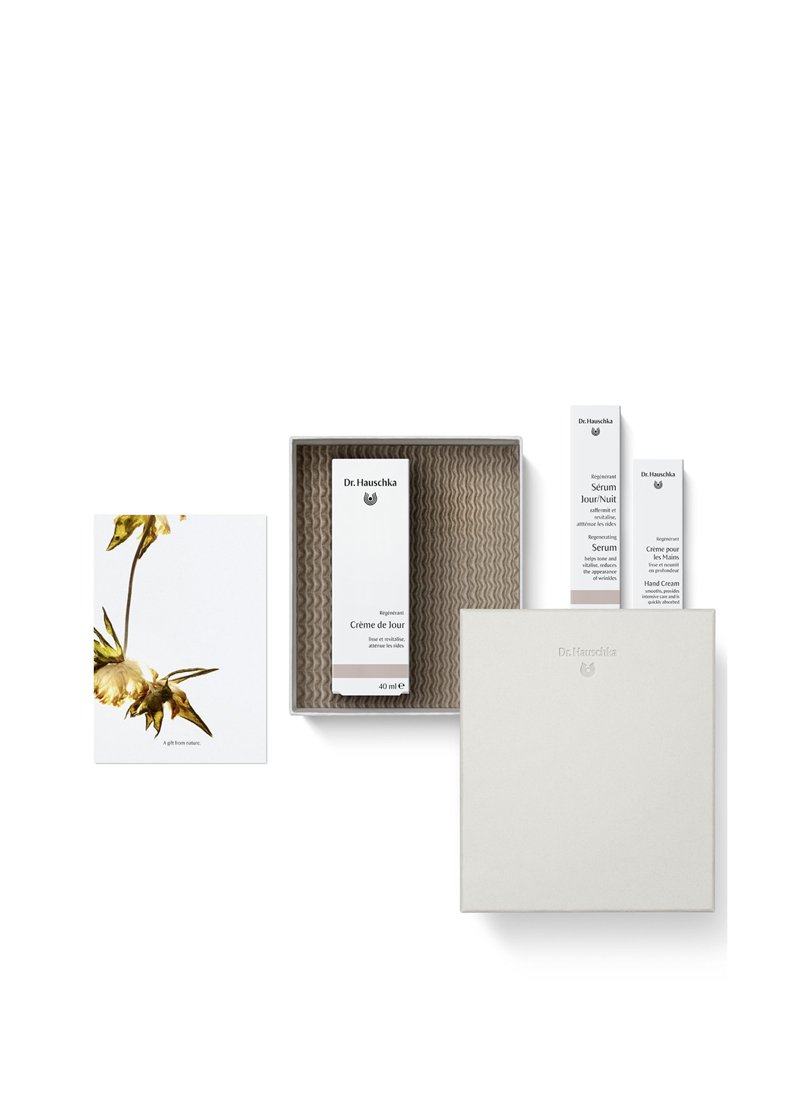 Coffret Noël Éclat Intemporel DR. HAUSCHKA No color