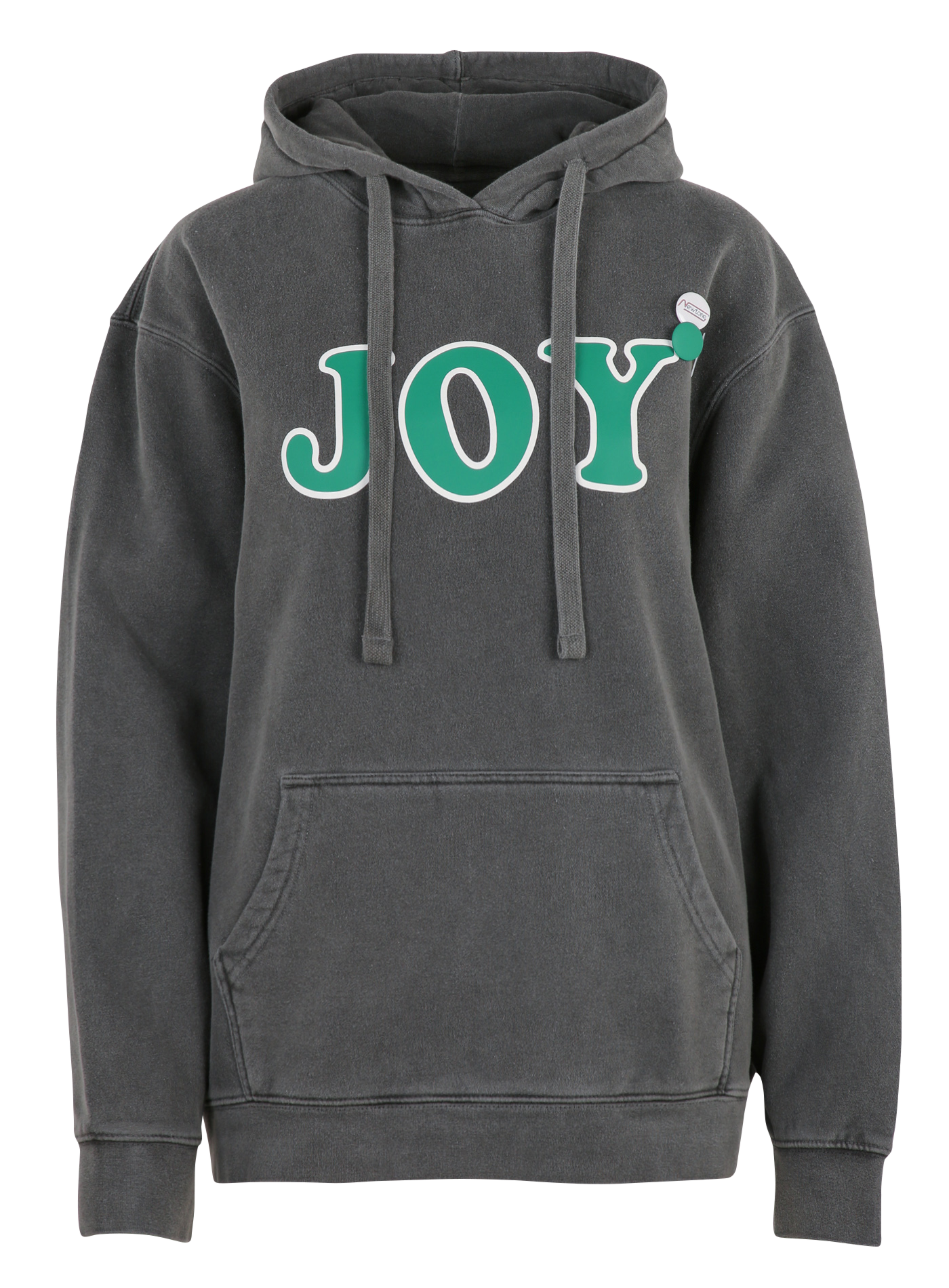 Gerader bedruckter Kapuzenpullover NEWTONE Grau