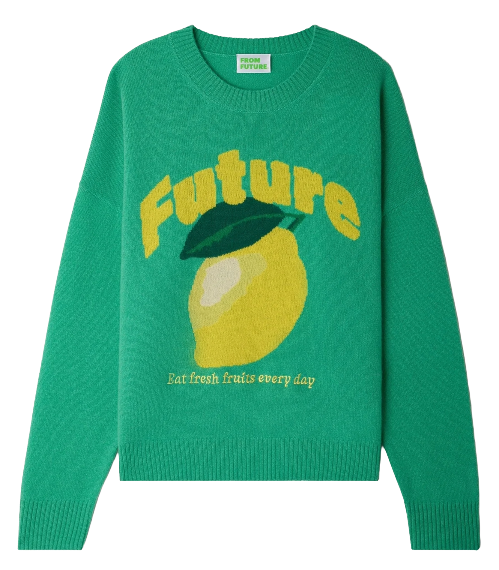 Pull droit col rond en cachemire sérigraphié FROM FUTURE Vert