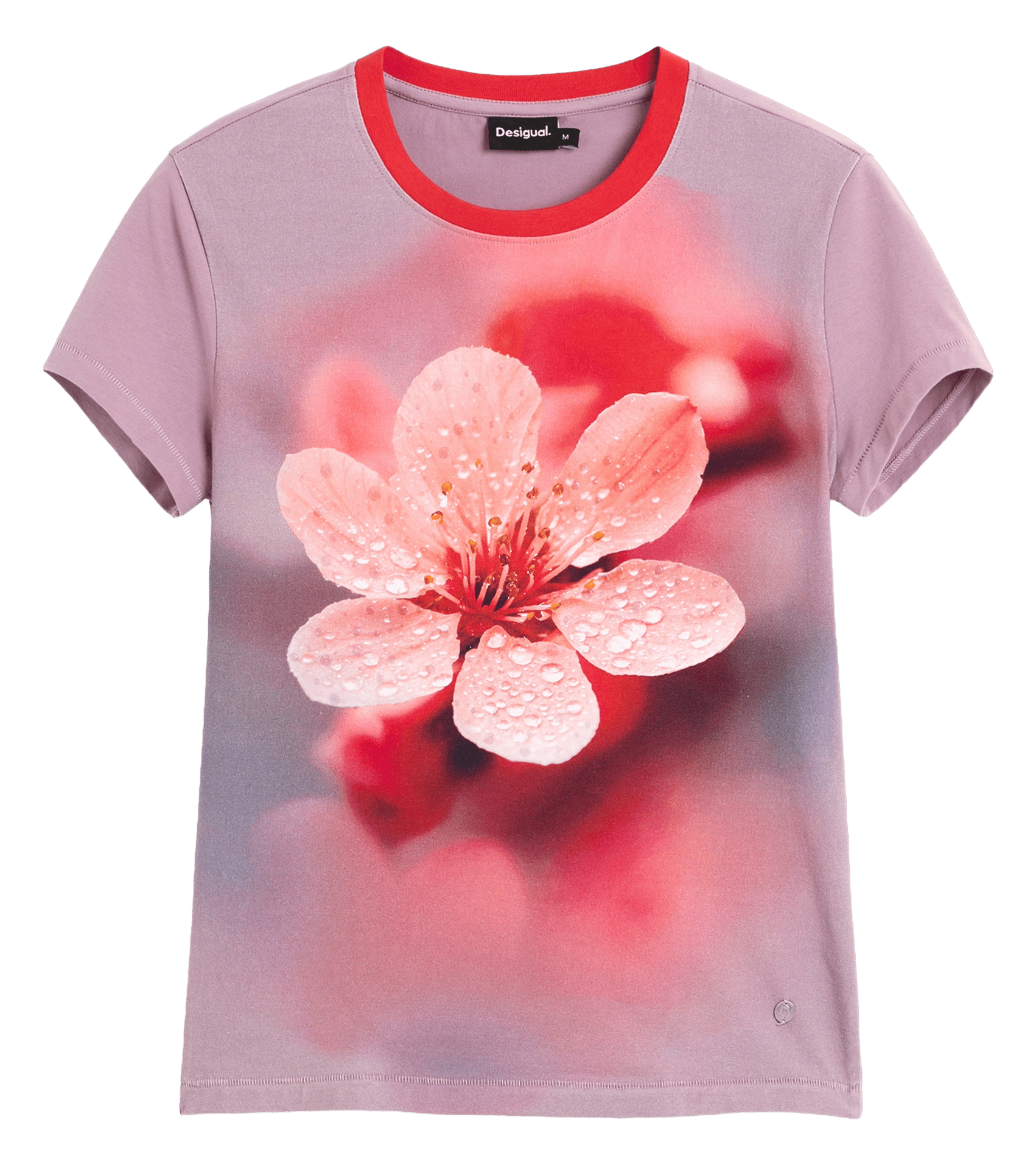 Basic cotton-mix T-shirt DESIGUAL Red