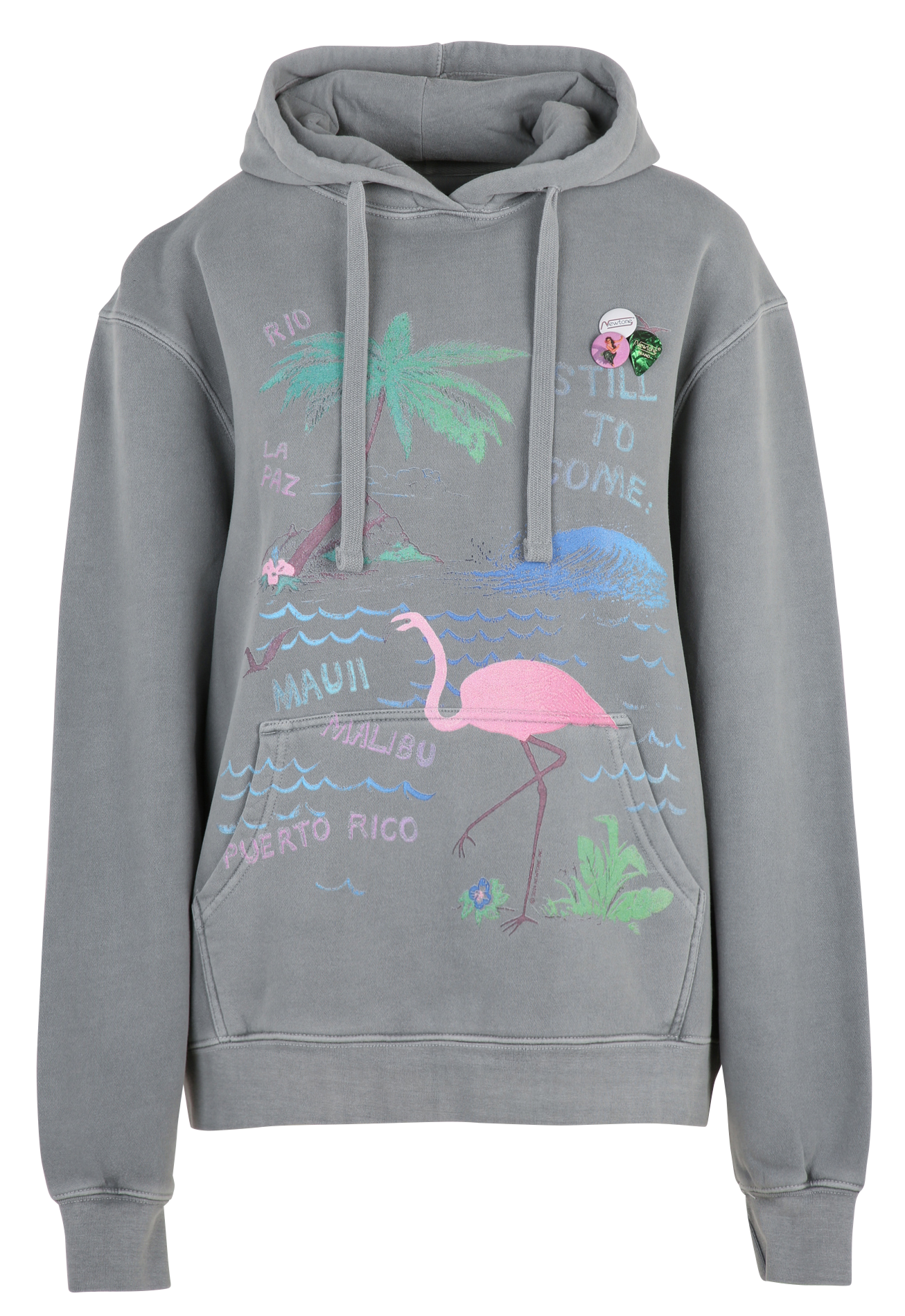 Cotton-blend hooded sweatshirt NEWTONE Grey