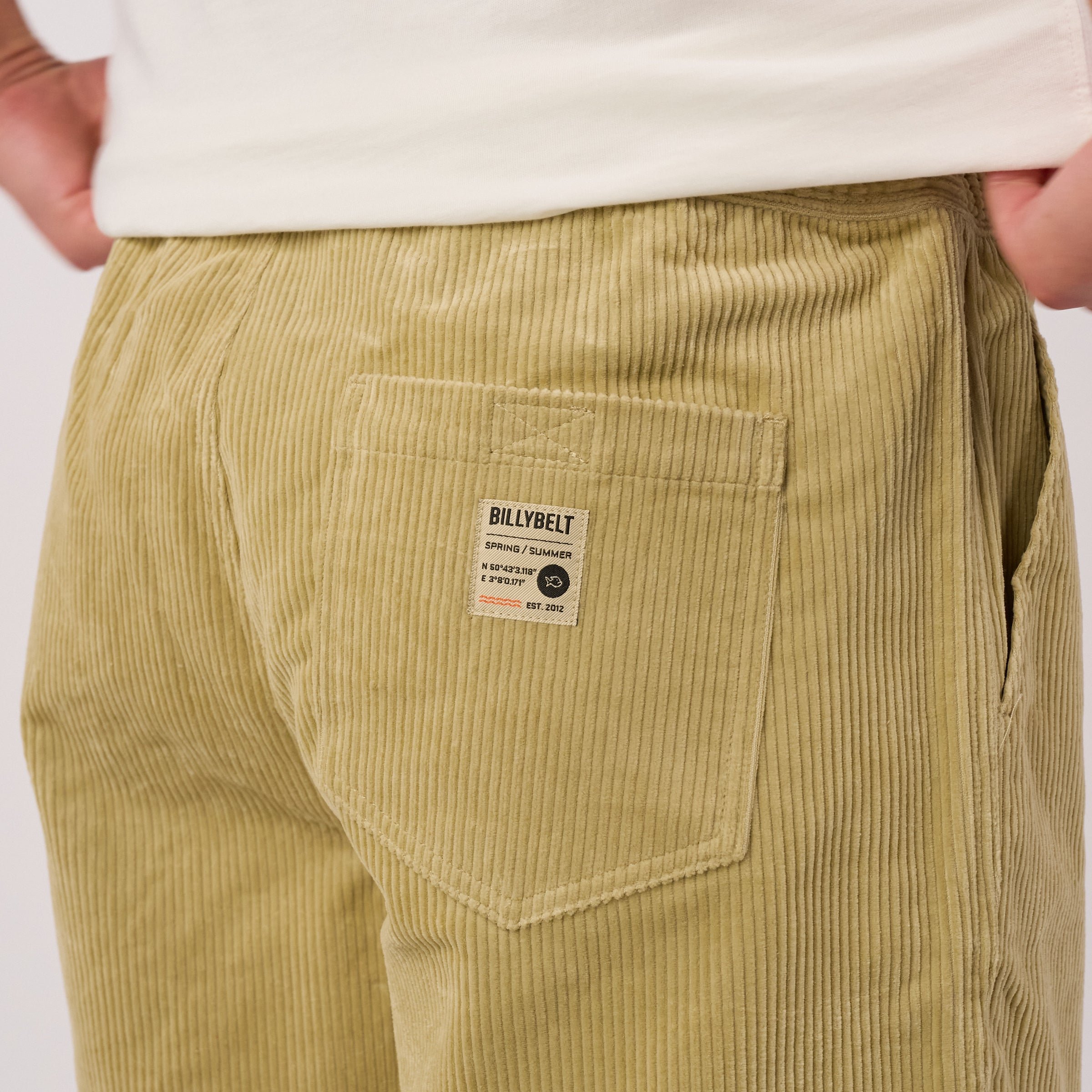 Ridge velvet shorts Green