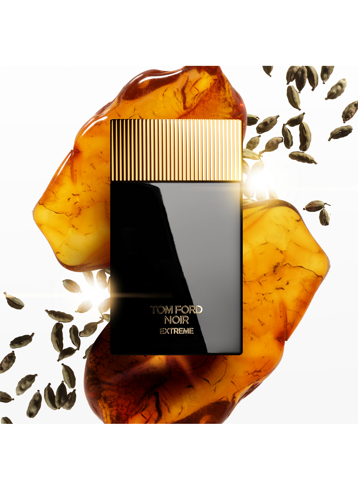 Noir Extreme - Eau de Parfum TOM FORD No color