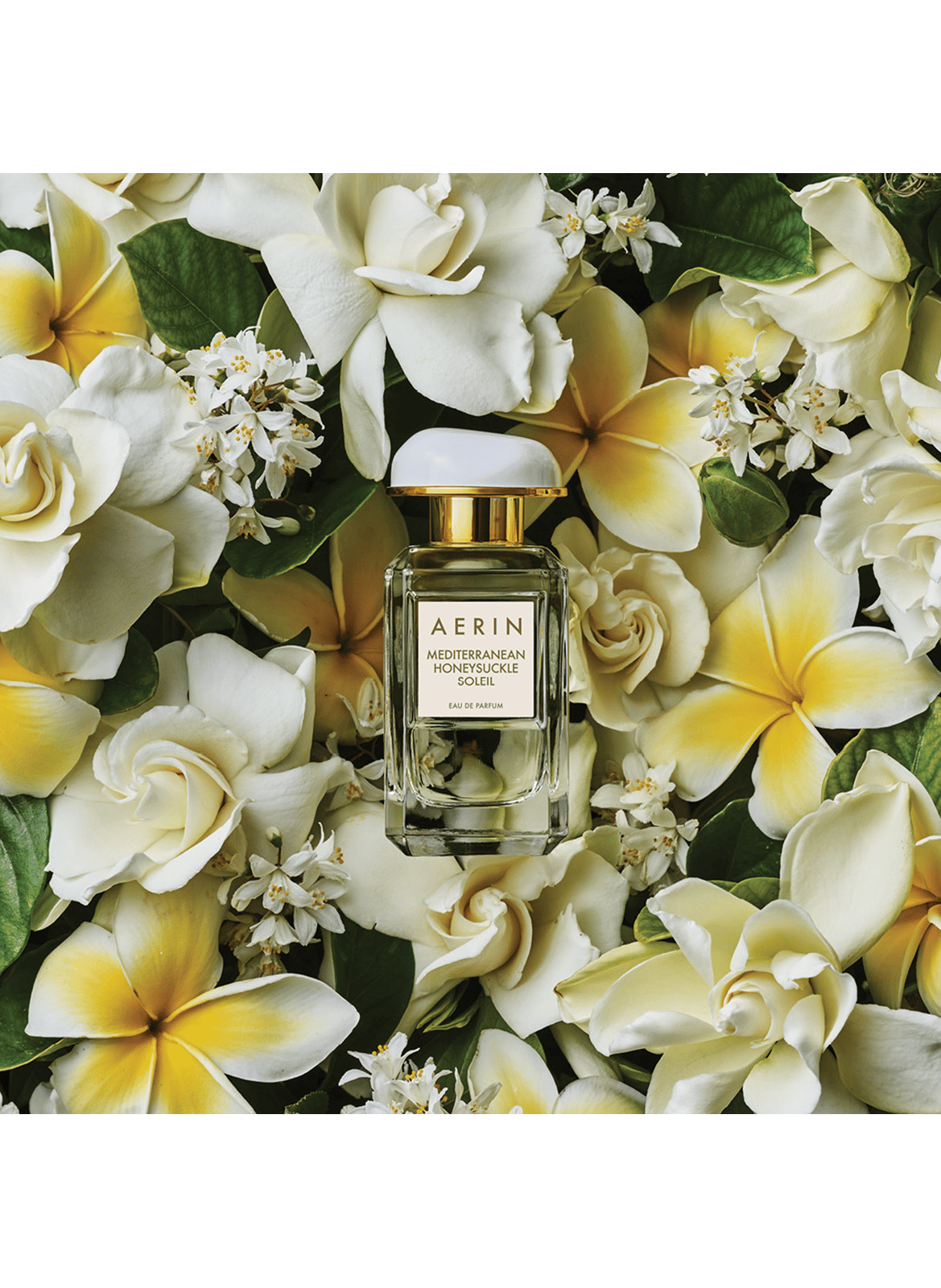 MEDITERRANEAN KAMPERFOELIE SOLEIL - Aerin Mediterranean Honeysuckle Soleil ESTEE LAUDER No color