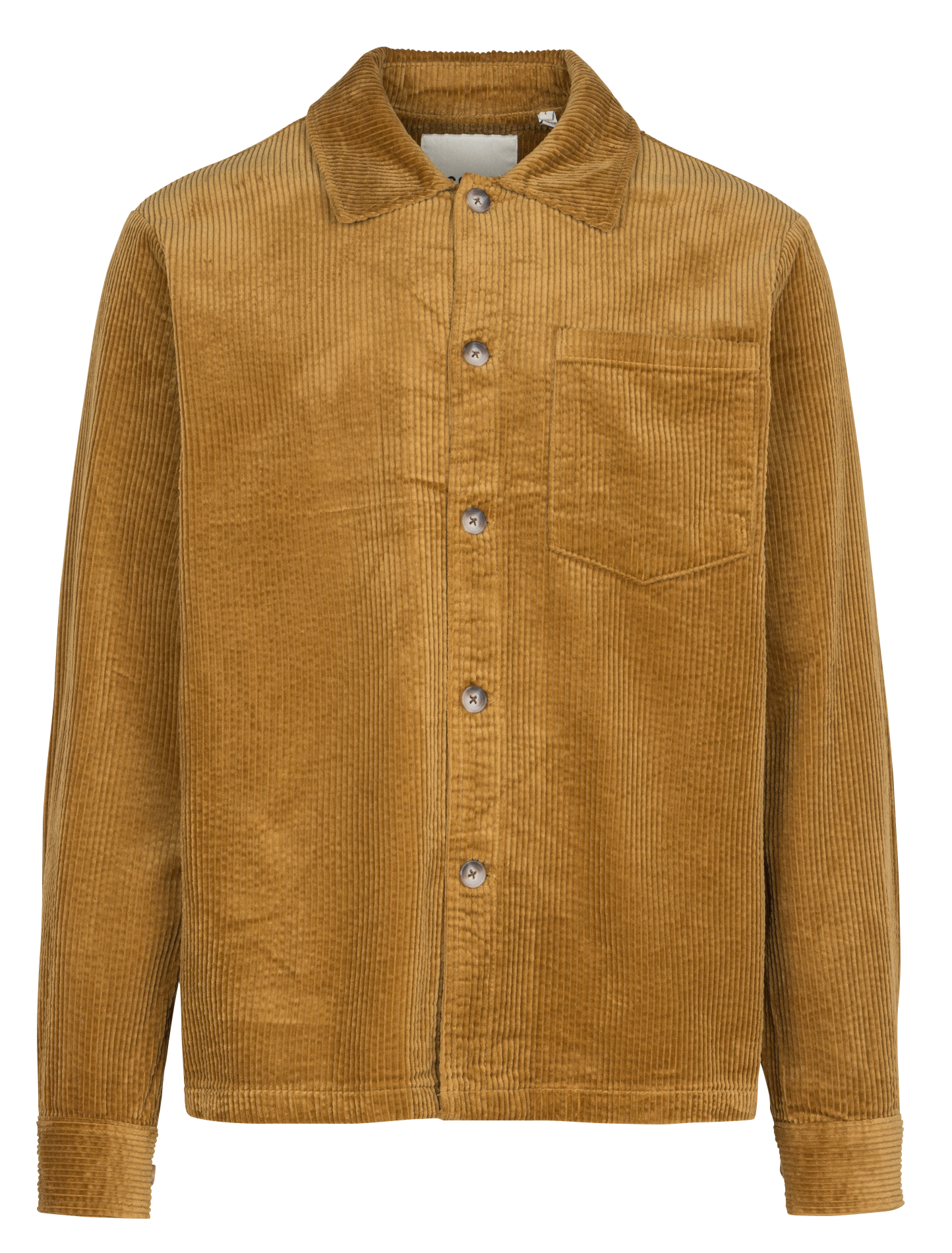 Shirt in regular velvet made of cotton SOLID