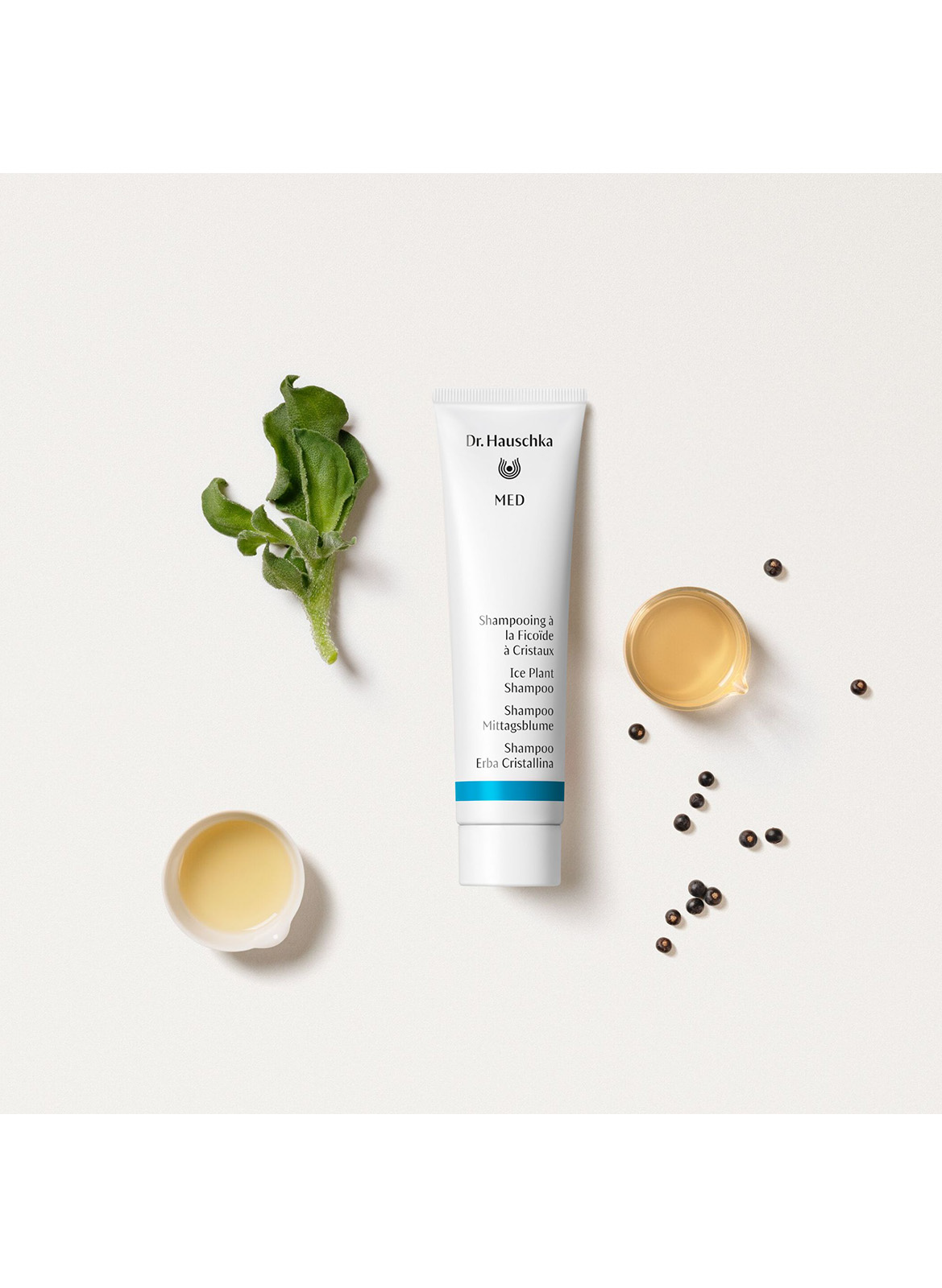 Ice Plant Shampoo DR. HAUSCHKA No color