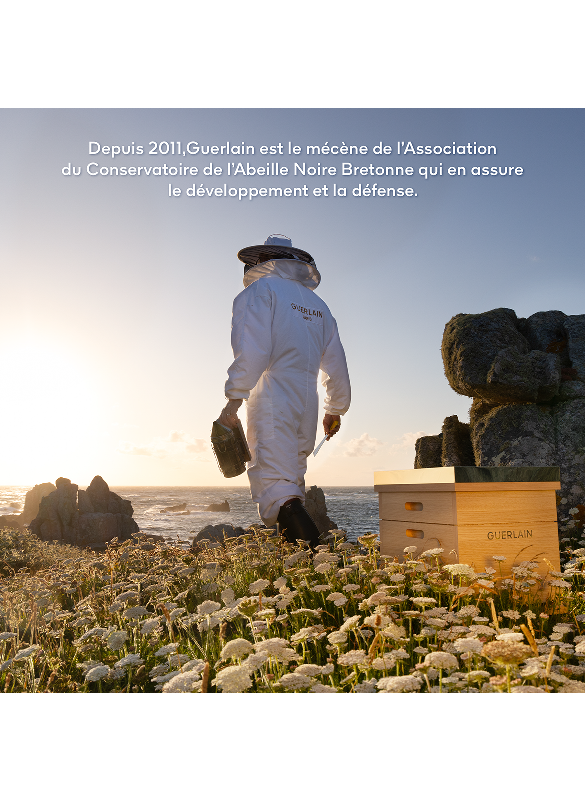 Abeille Royale Crème yeux correction multi-rides GUERLAIN No color