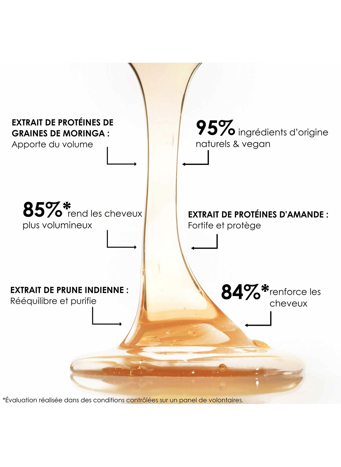 Vitalisierendes Shampoo LEONOR GREYL No color
