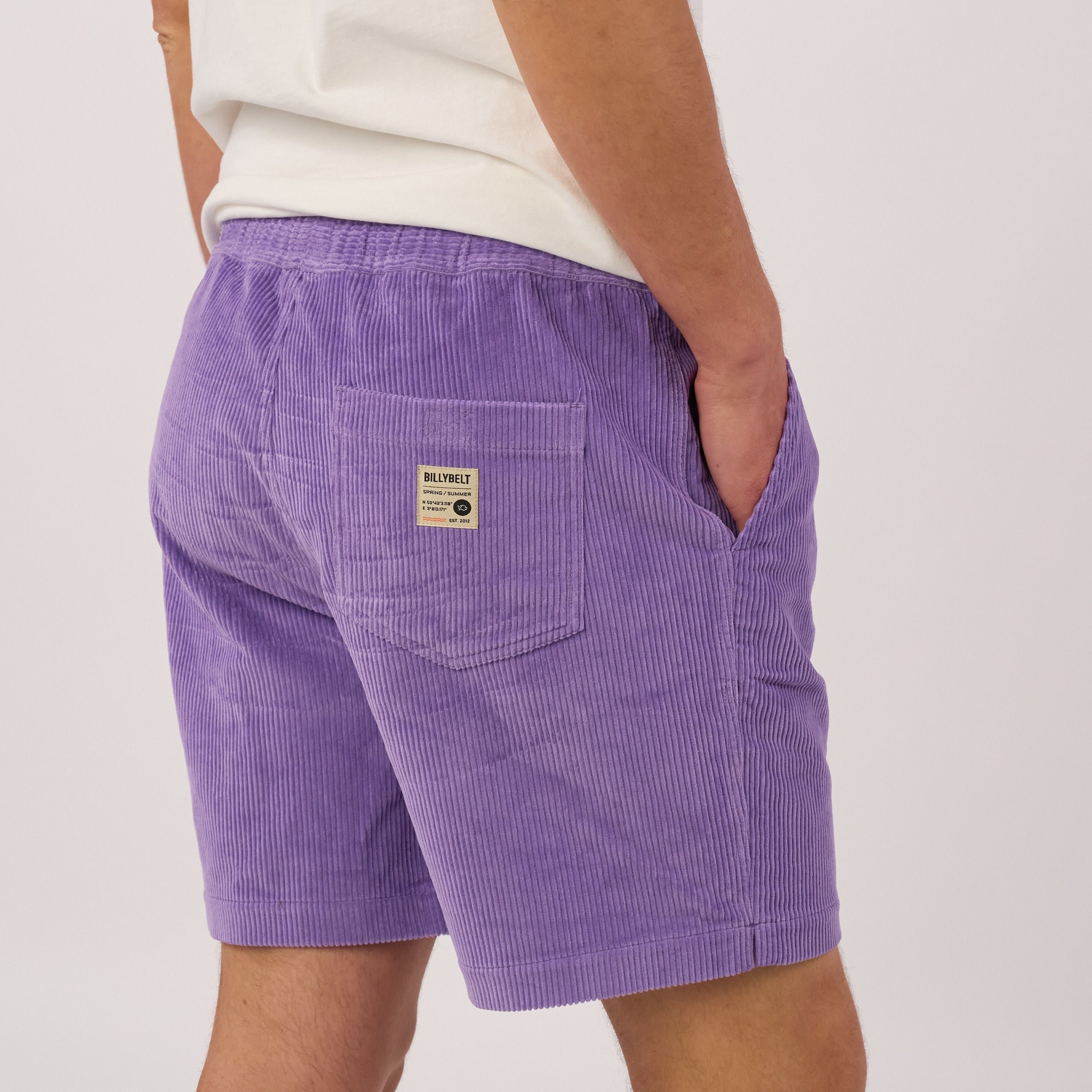 Ridge velvet shorts Purple