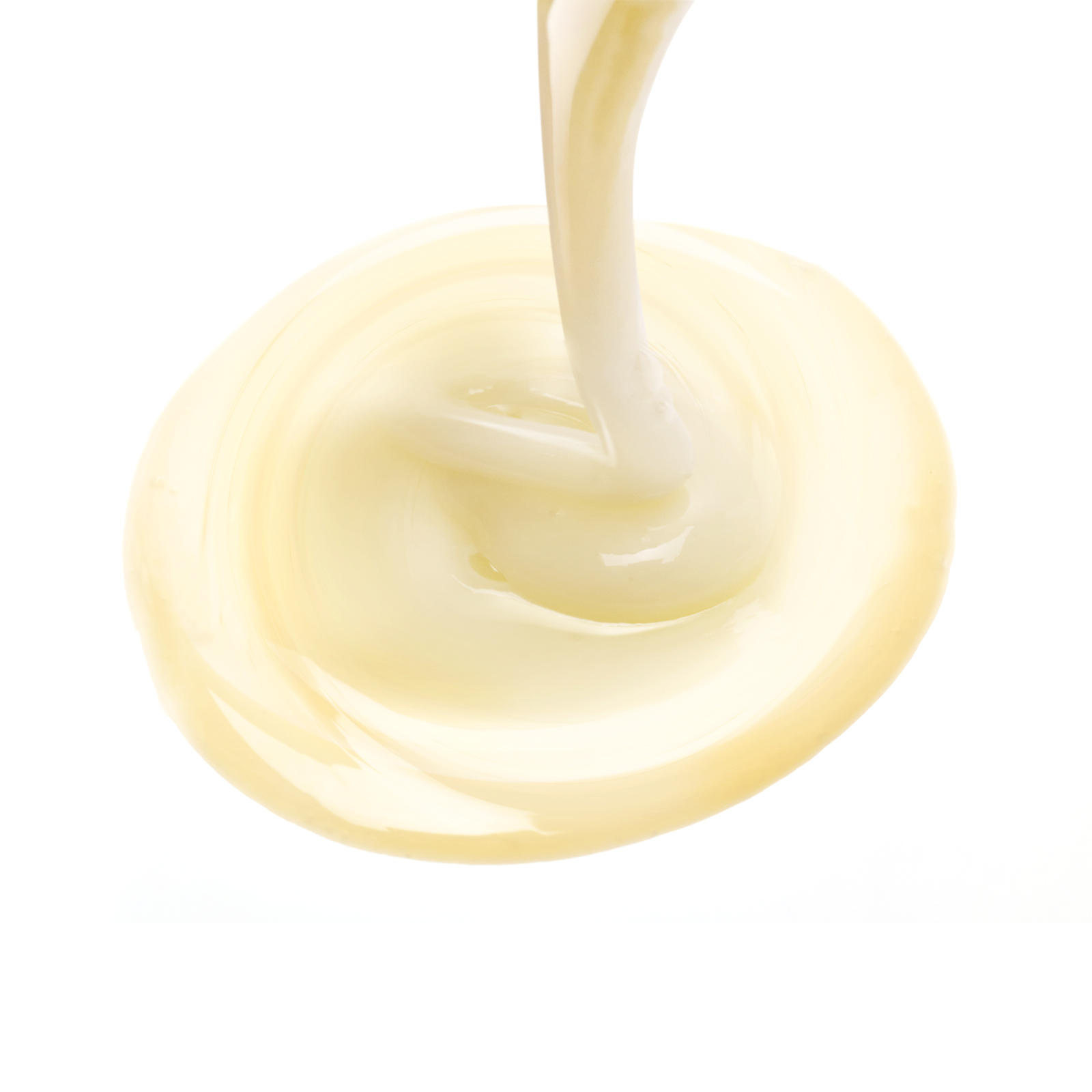 Revitalising shampoo LEONOR GREYL No color