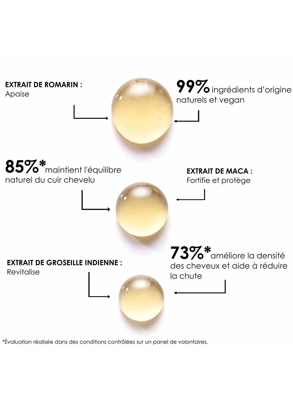 Energizing serum LEONOR GREYL No color