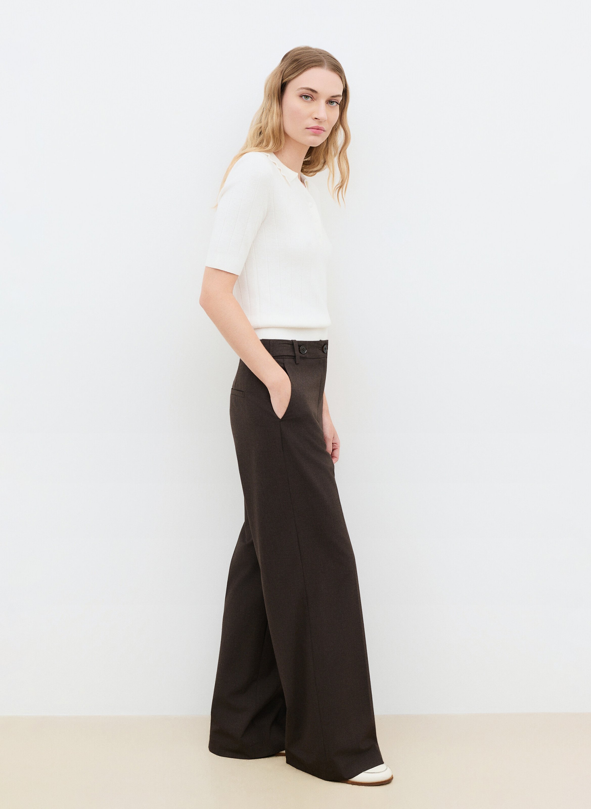 Einfarbige, gerade geschnittene Taillenhose CAROLL Braun