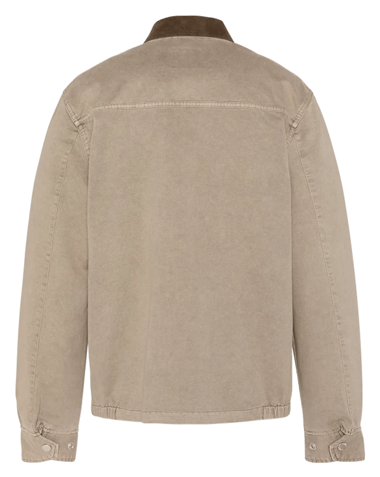 Beschichtete Jacke SCHOTT Beige