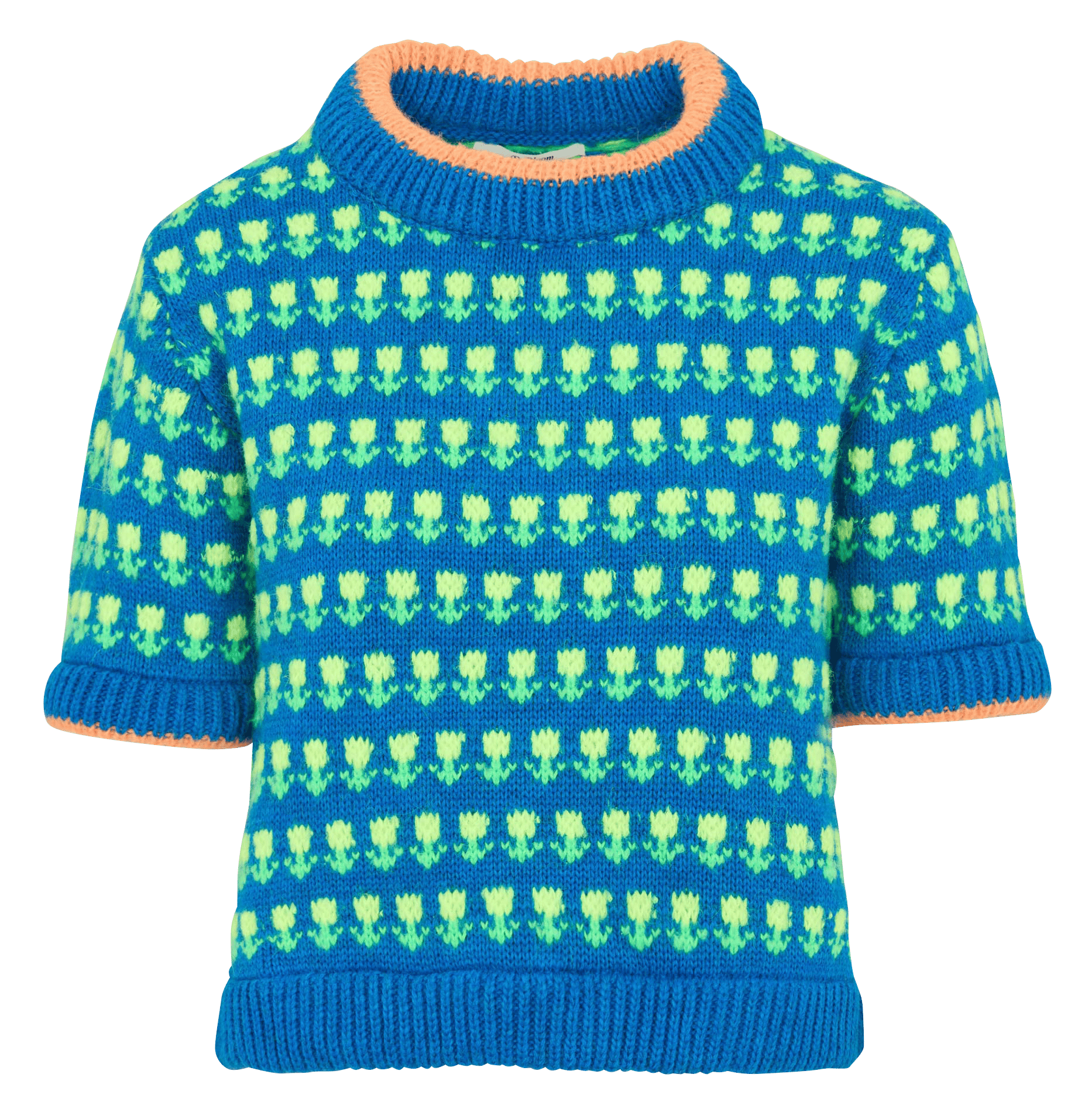 Pull col rond DR BLOOM Bleu