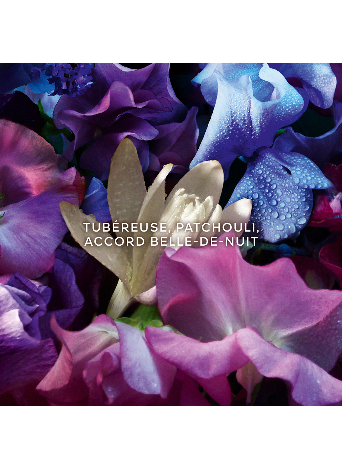 Absolus Allegoria Florabloom
Eau de Parfum

Absolus Allegoria Florabloom
Eau de Parfum GUERLAIN No color