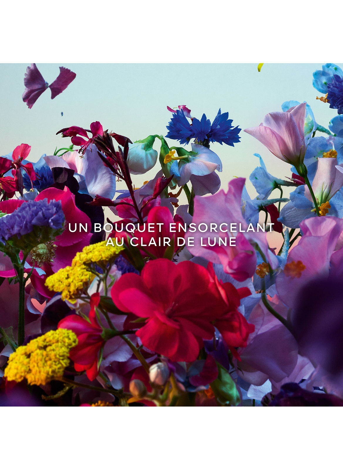 Absolus Allegoria Florabloom
Eau de Parfum

Absolus Allegoria Florabloom
Eau de Parfum GUERLAIN No color