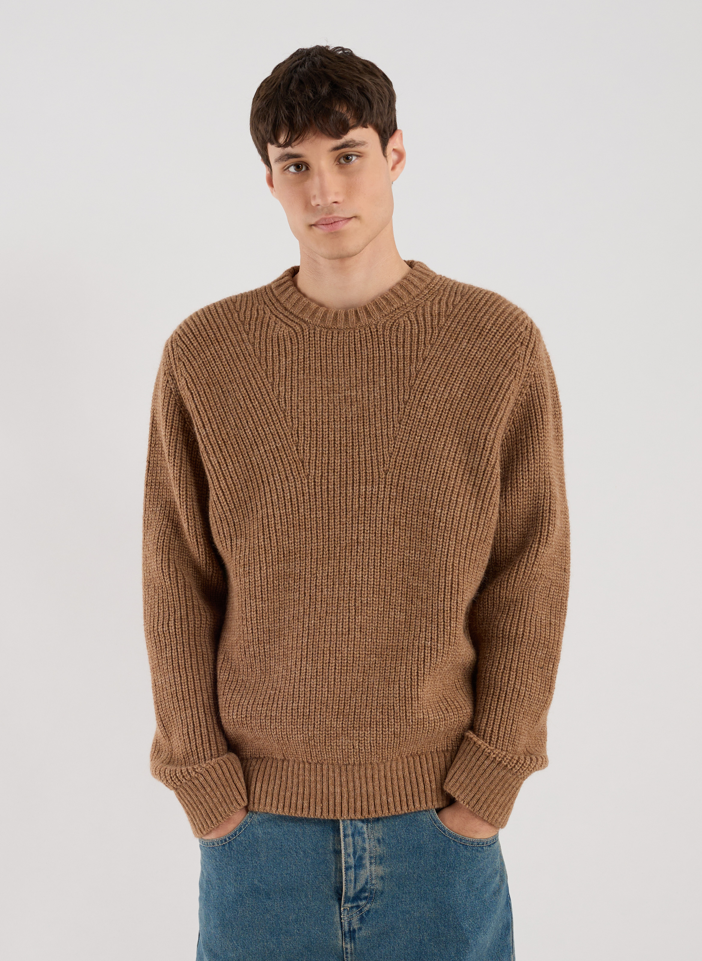 Pull droit col rond en alpaga mélangé SAISON 1865 Beige