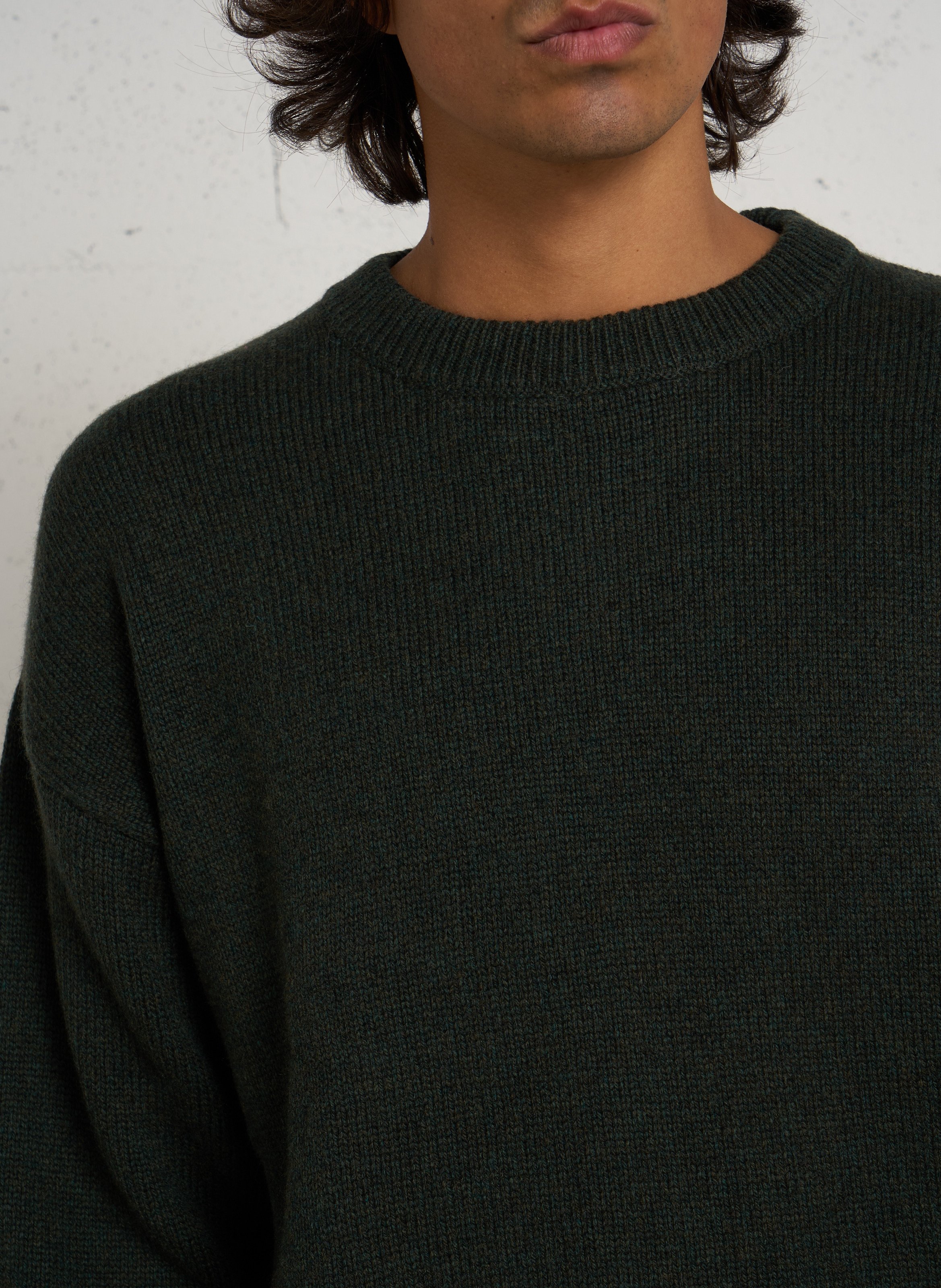 Oversize Rundhalsausschnitt-Pullover aus recycelter Wolle COLORFUL STANDARD Grun