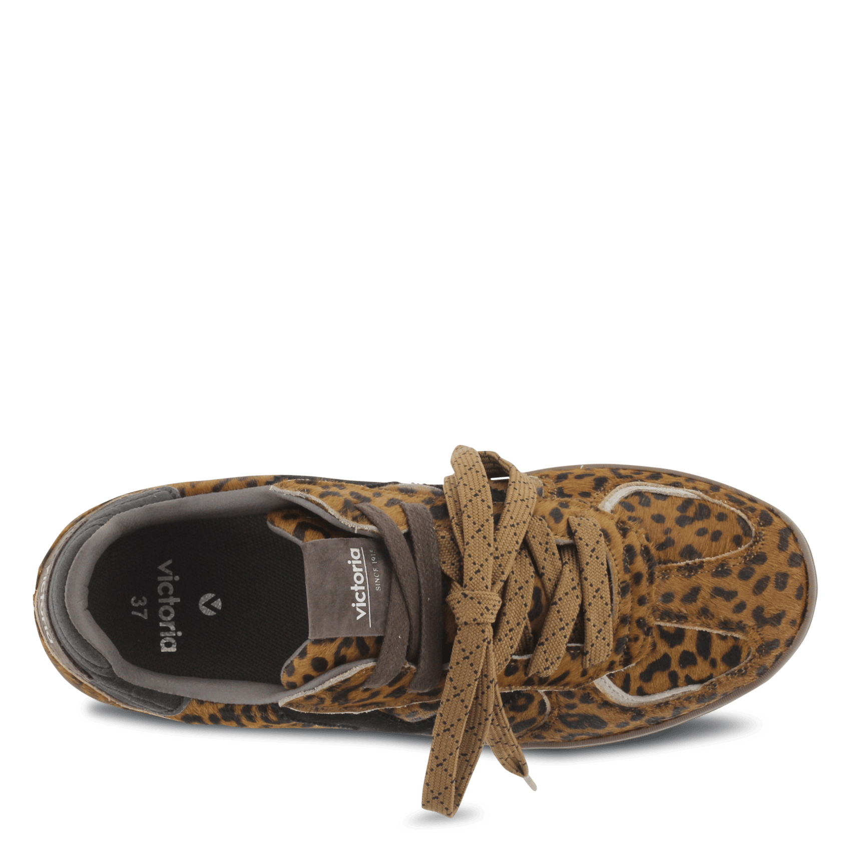 Low-top sneakers with print VICTORIA Brown