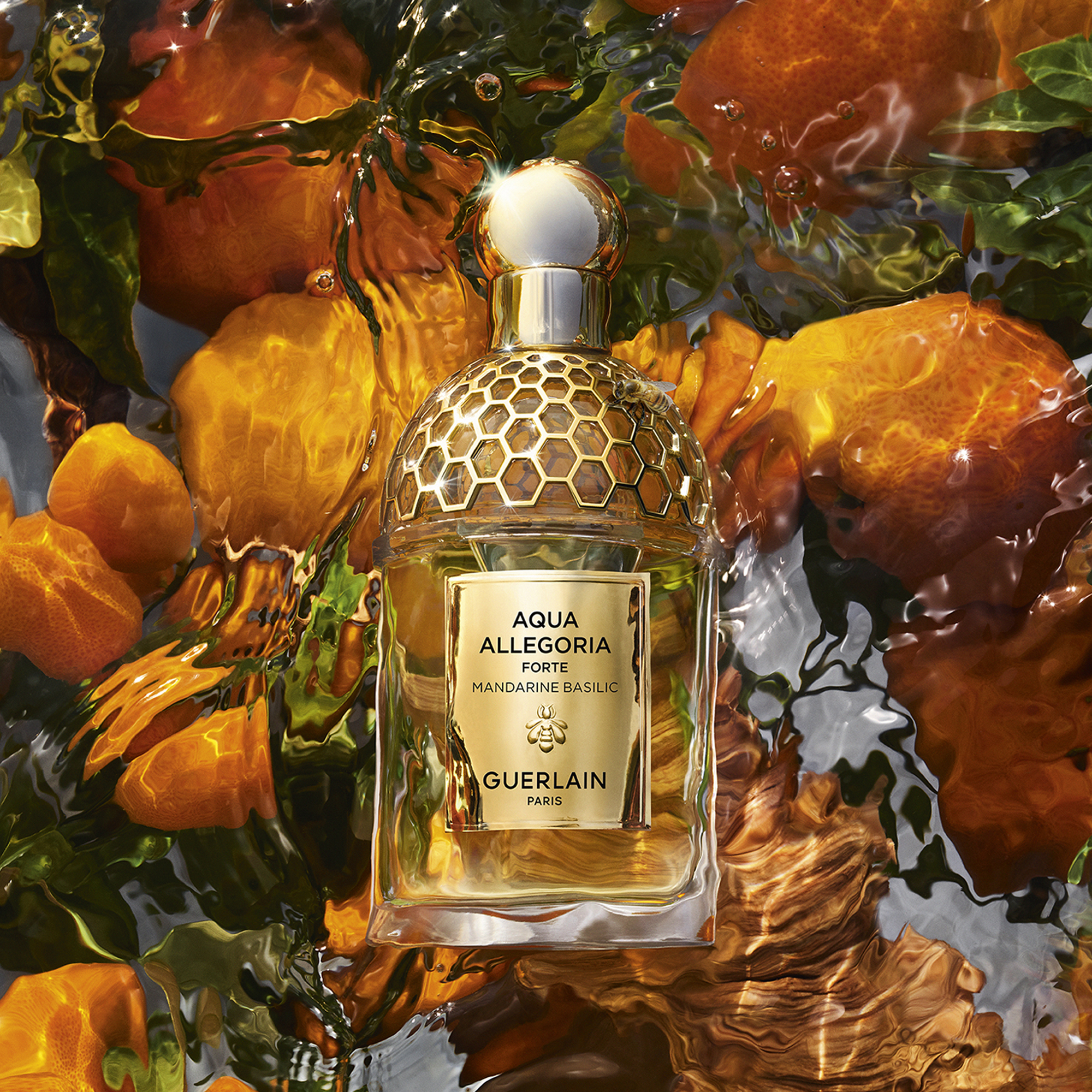 AQUA ALLEGORIA FORTE Mandarine Basilikum - Eau de Parfum GUERLAIN No color