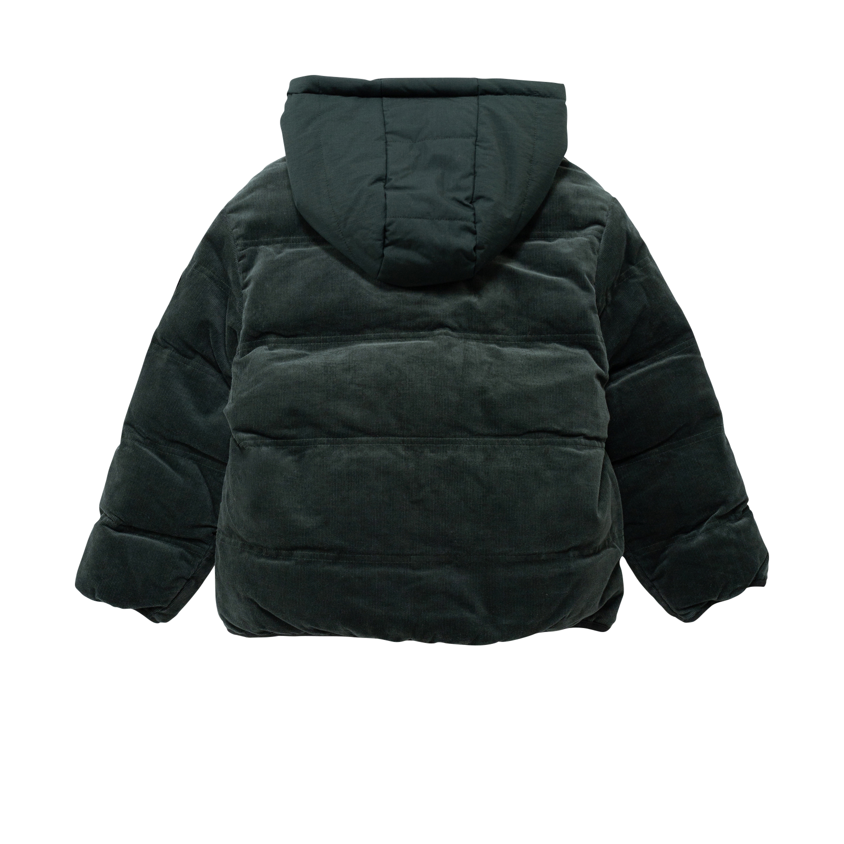 Doudoune col montant réversible  en coton IKKS JUNIOR Vert