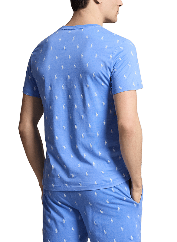 Baumwoll-Pullover mit Rundhalsausschnitt POLO RALPH LAUREN Mehrfarbig