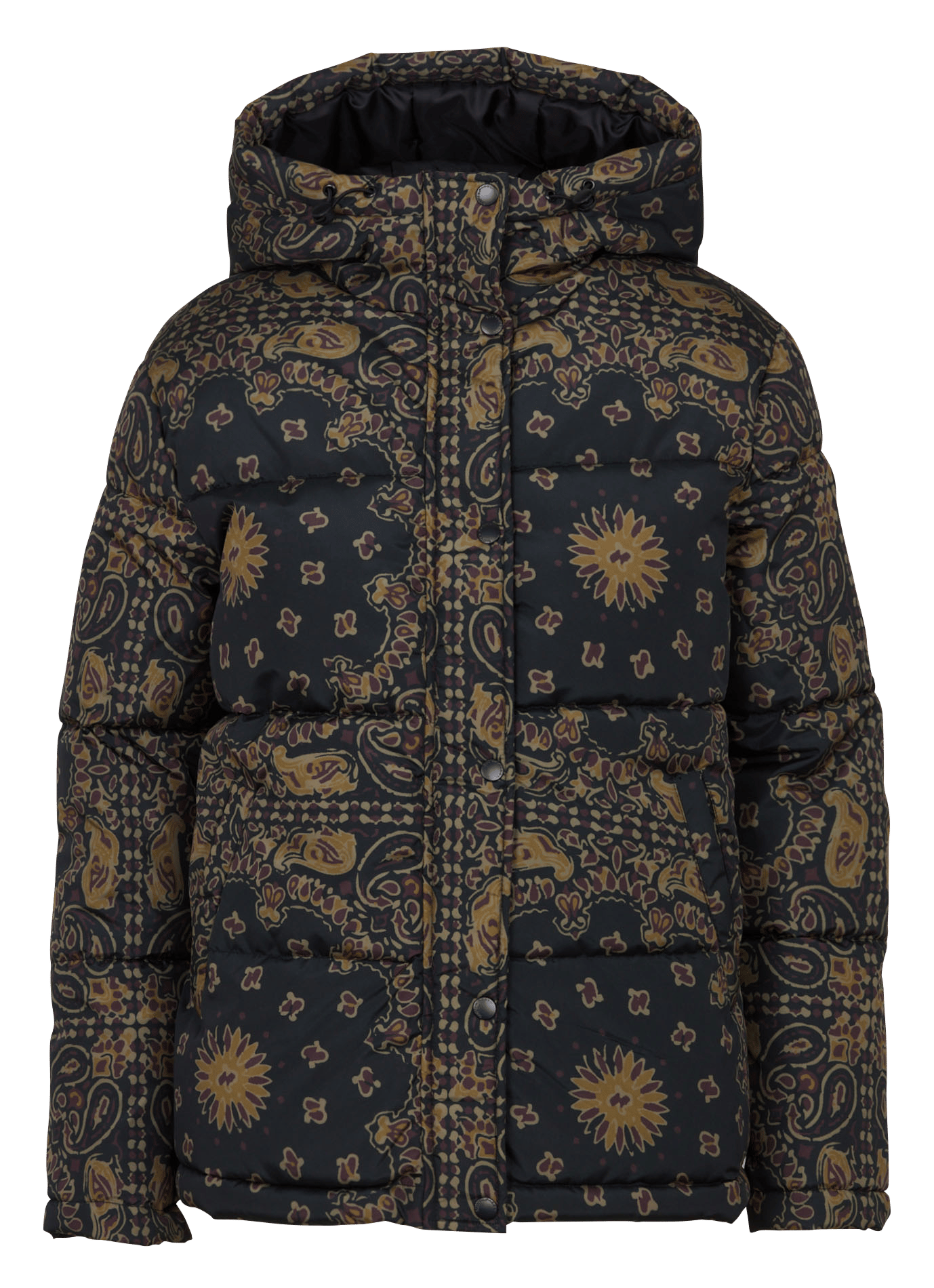 Printed padded jacket with hood SUD EXPRESS Brown