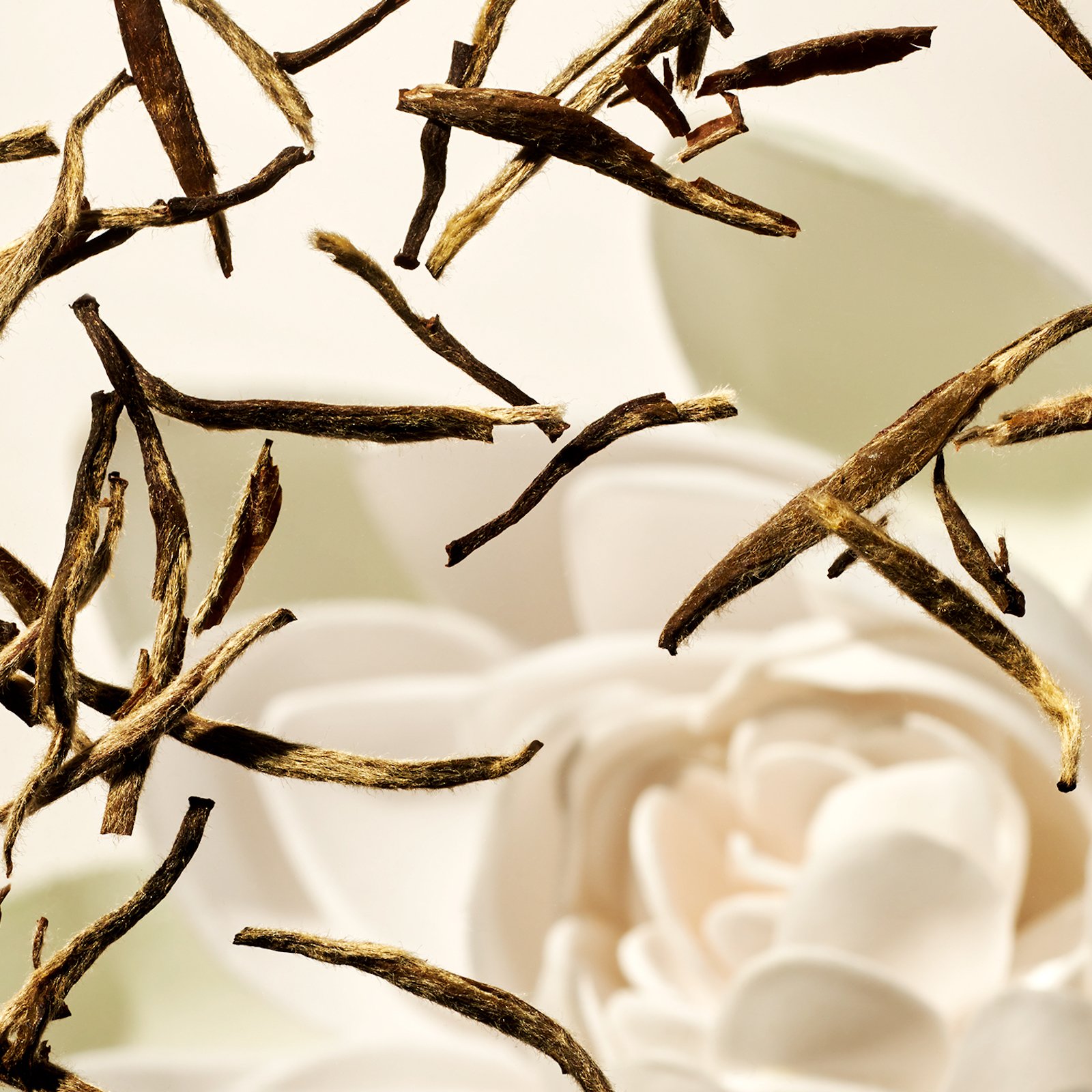 The Ritual of Karma - Bodyscrub RITUALS No color