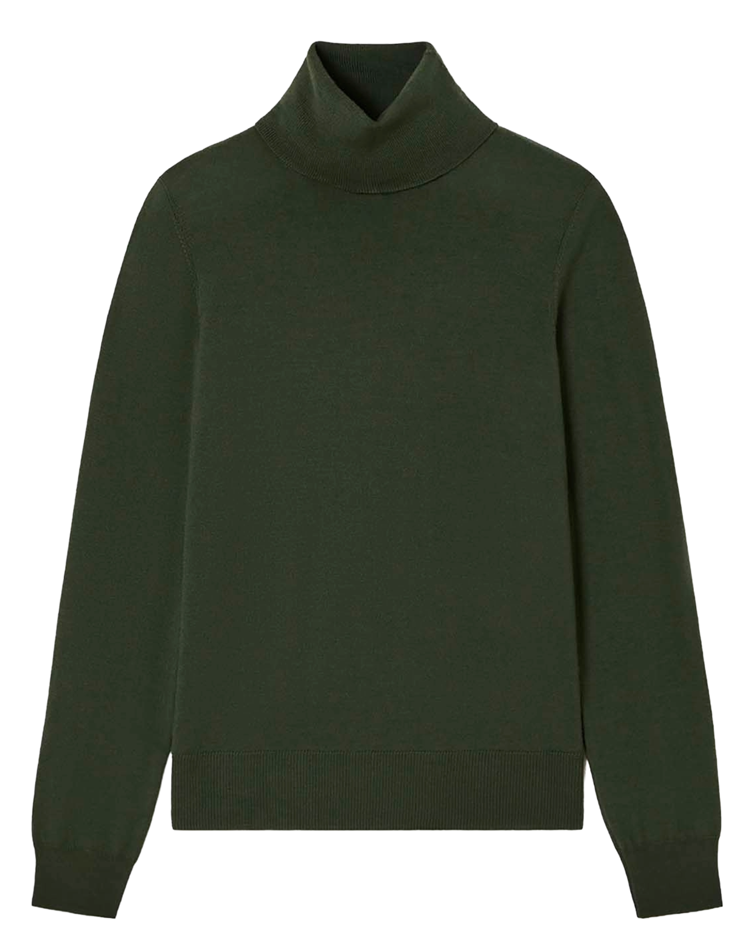 Pull moulant col roulé en laine TARA JARMON Vert