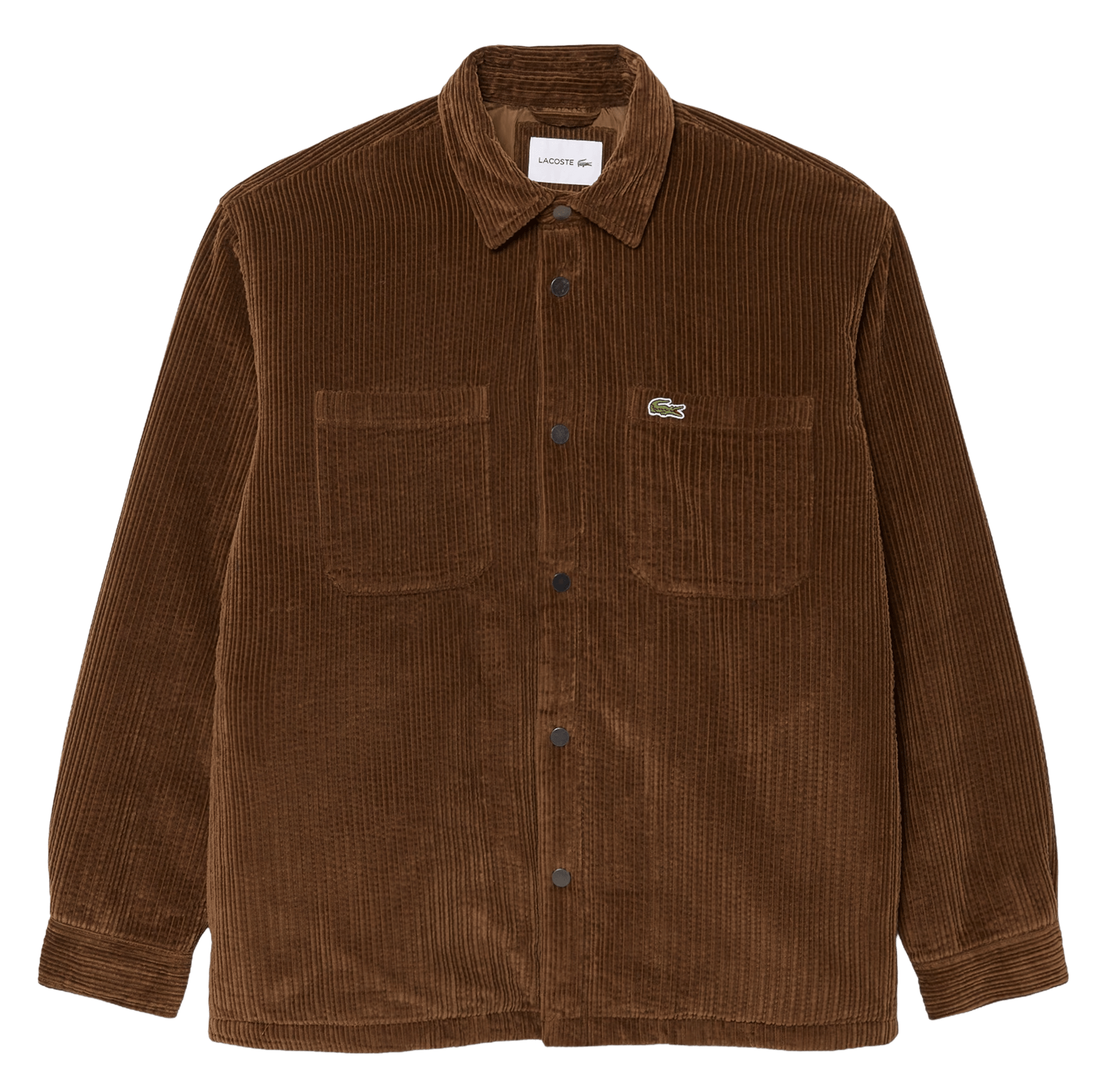 Katoenen overshirt met klassieke kraag LACOSTE Bruin