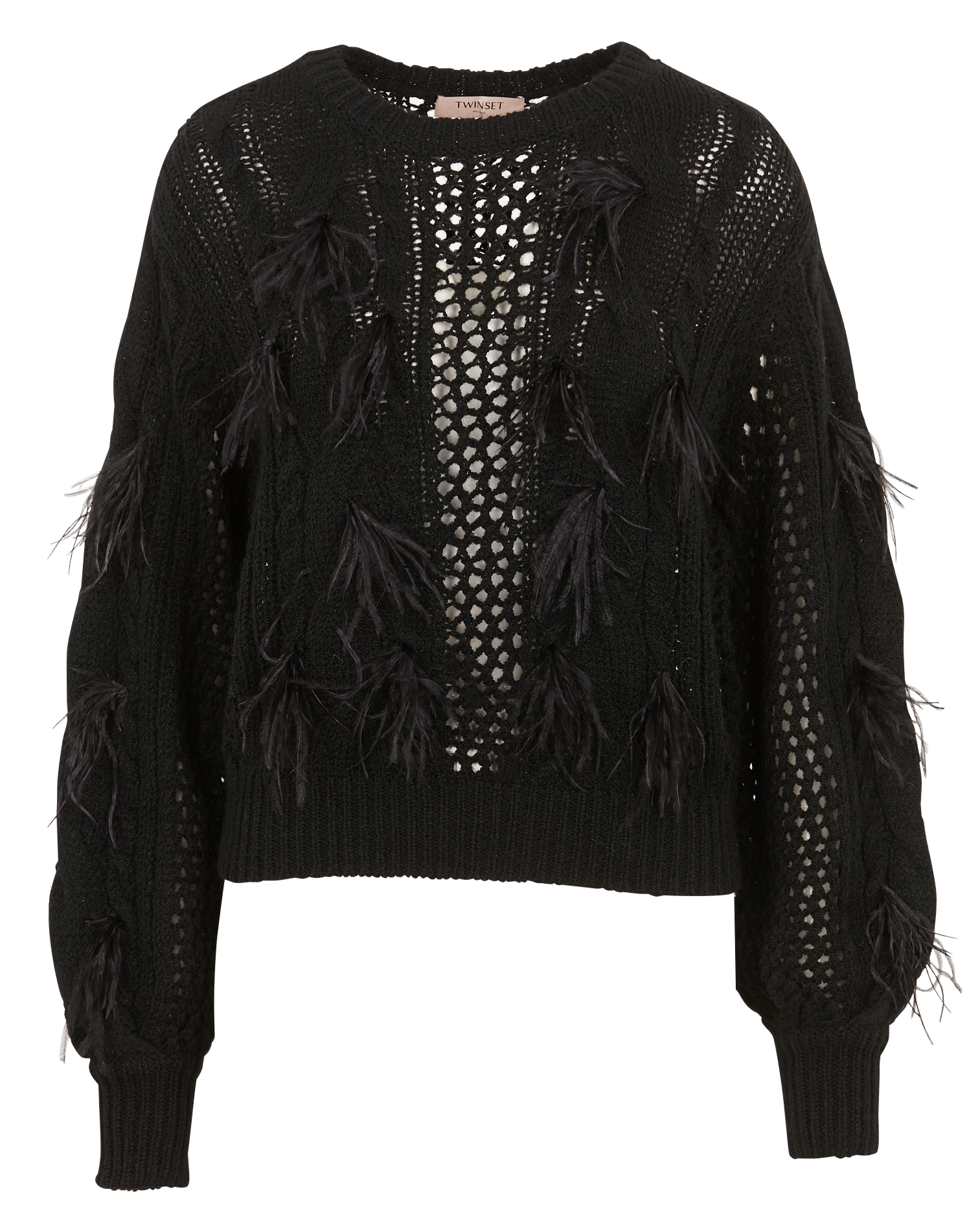 Rundhalspullover mit eingearbeiteten Federn TWINSET Schwarz