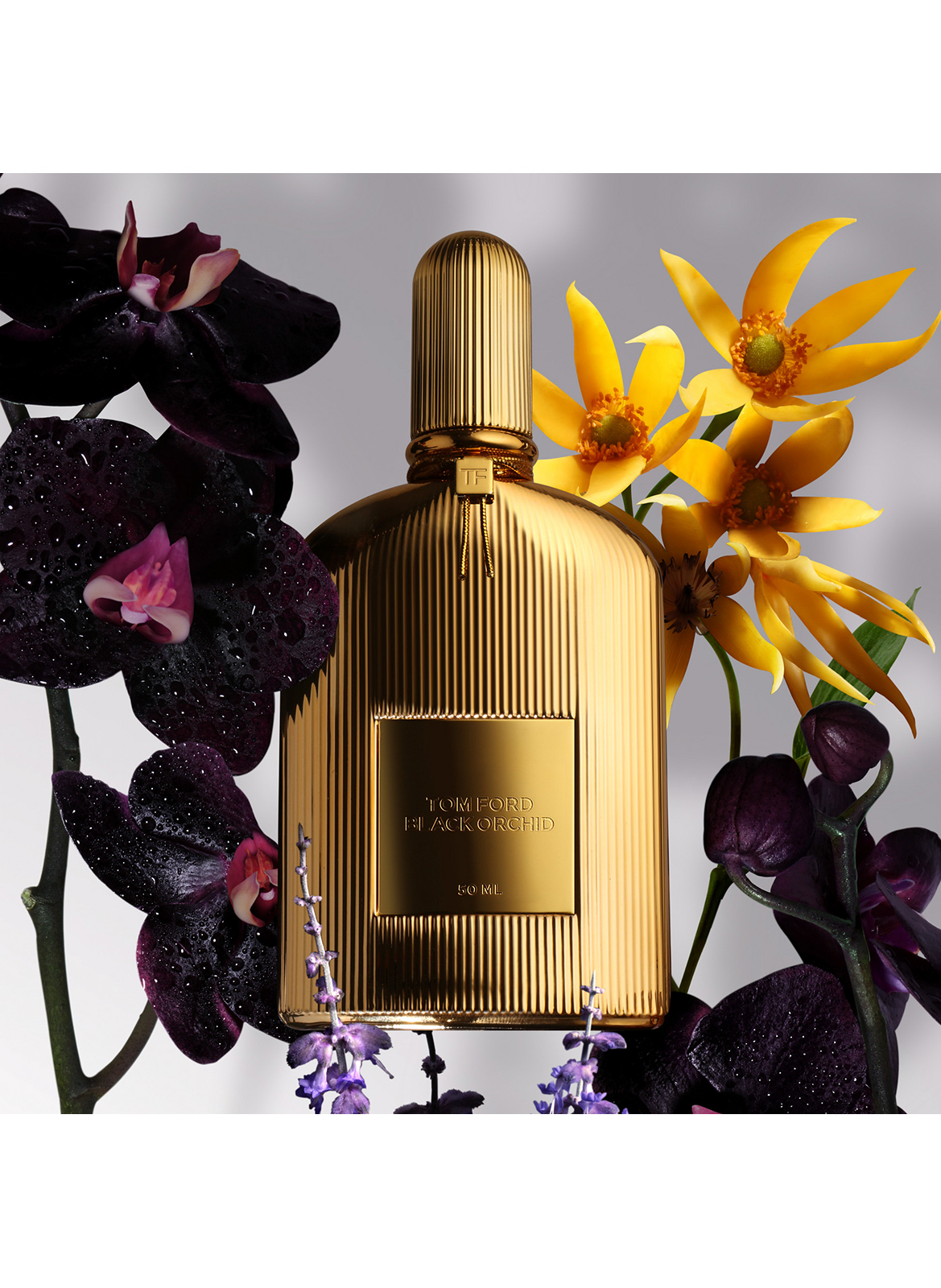 Black Orchid - Perfume TOM FORD No color