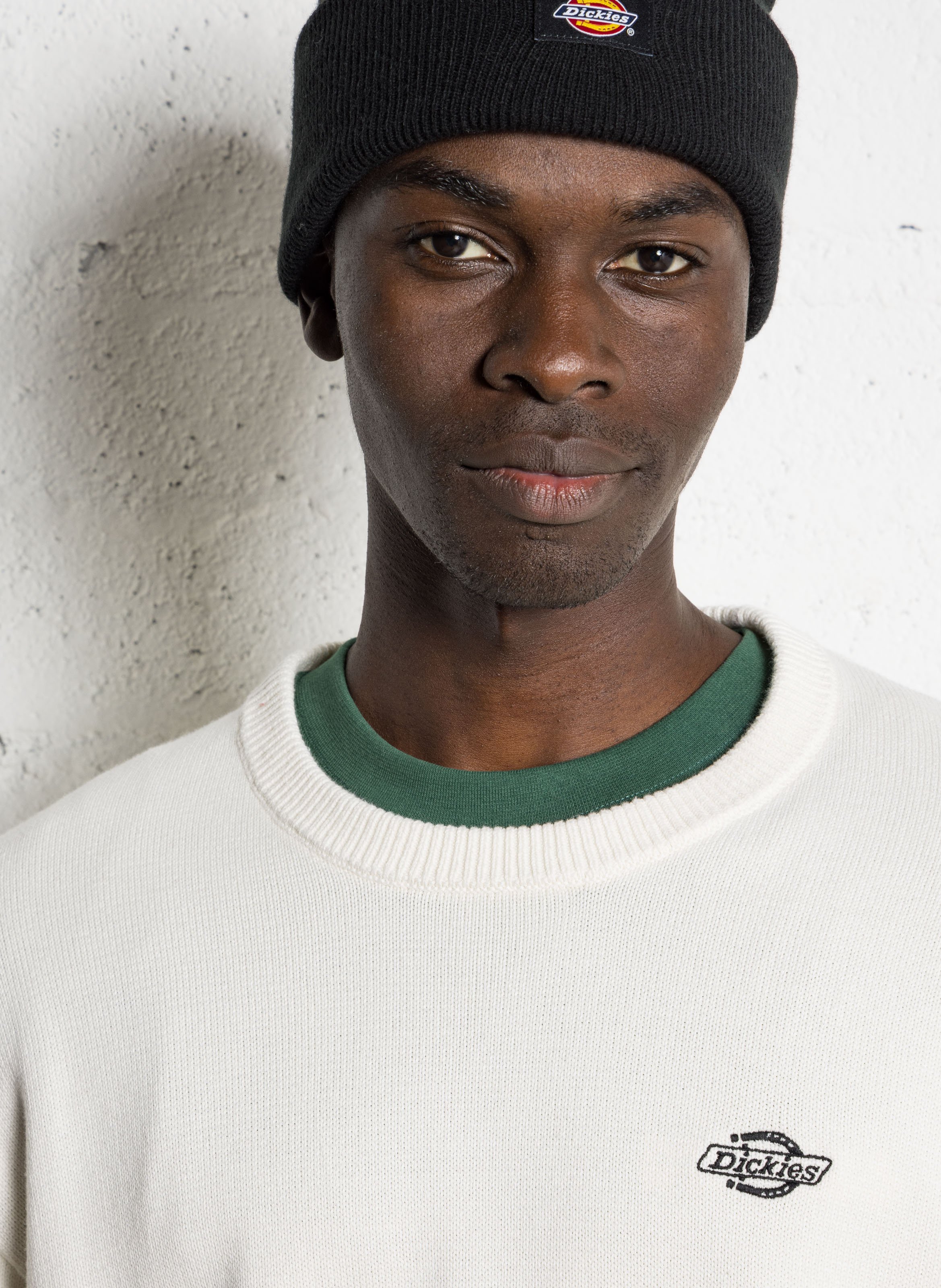 Rechte katoenen trui DICKIES Bruin