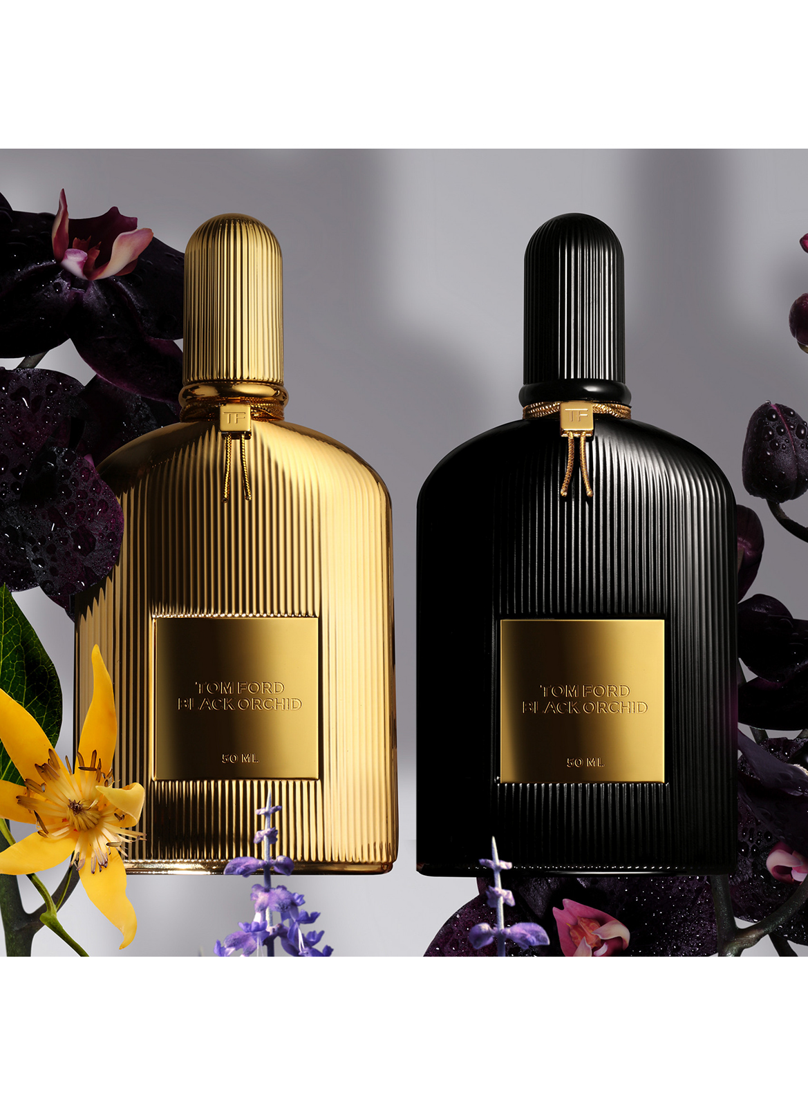 Black Orchid - Perfume TOM FORD No color