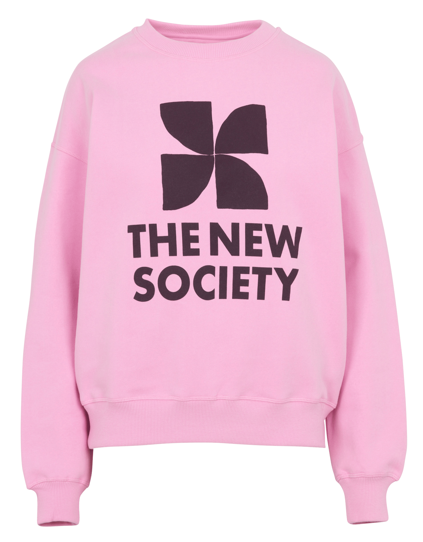 Loose-fit screen-printed cotton sweatshirt THE NEW SOCIETY Purple