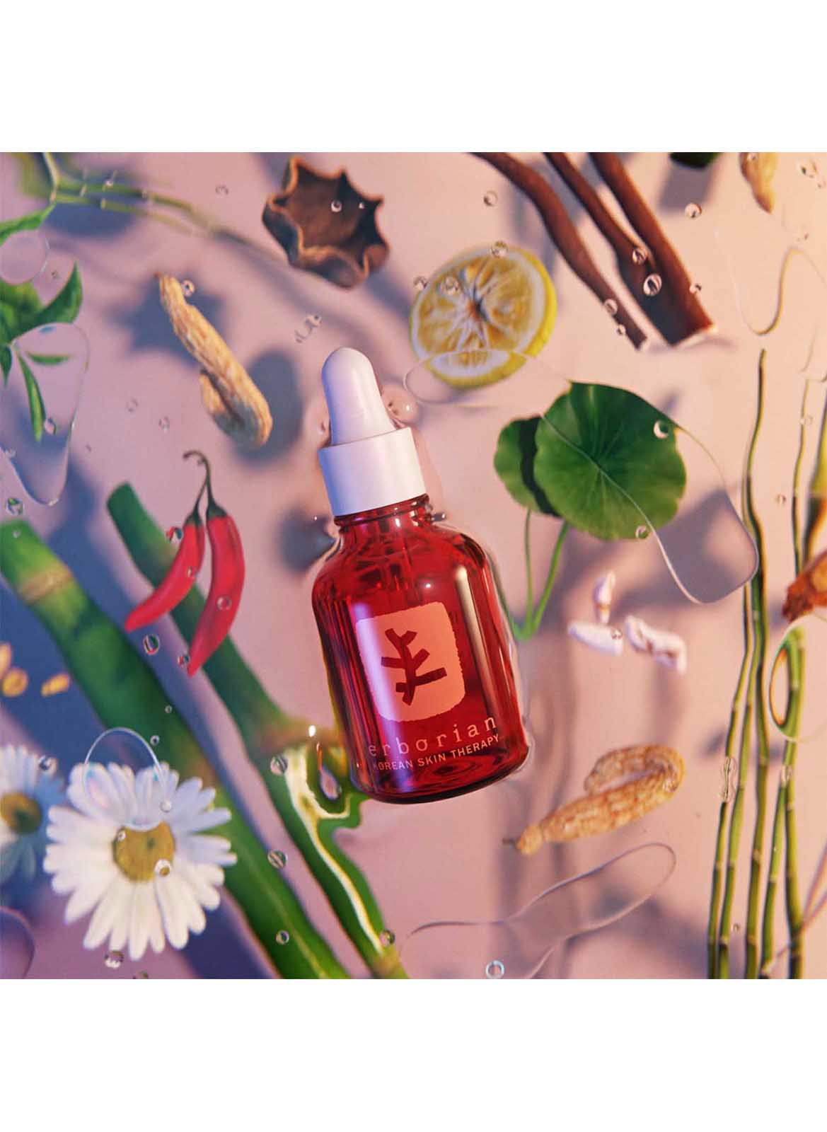 SKIN THERAPY | Perfectionerende nachtolie ERBORIAN No color