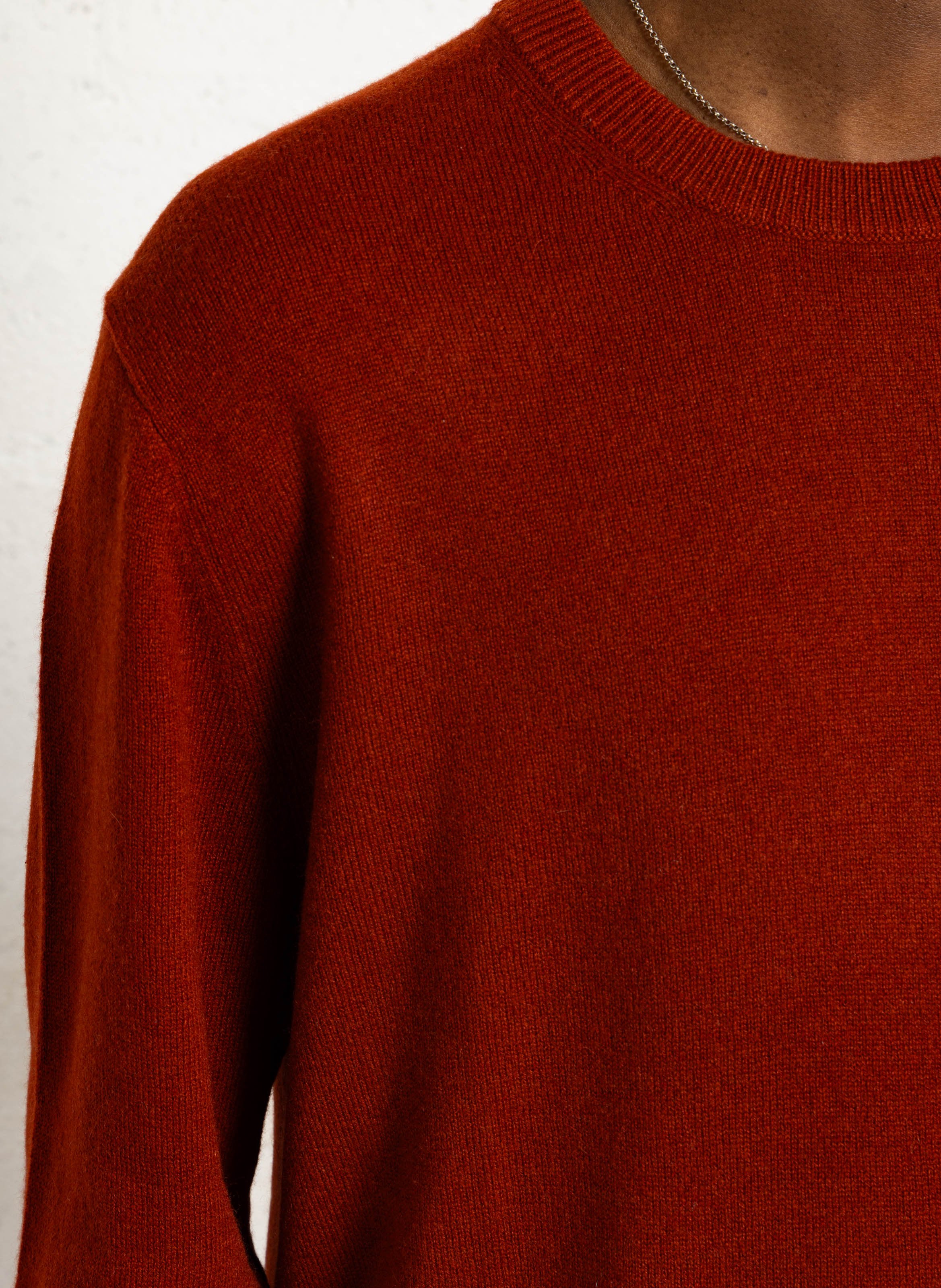 Pull col rond regular-fit en cachemire AU PRINTEMPS PARIS Marron