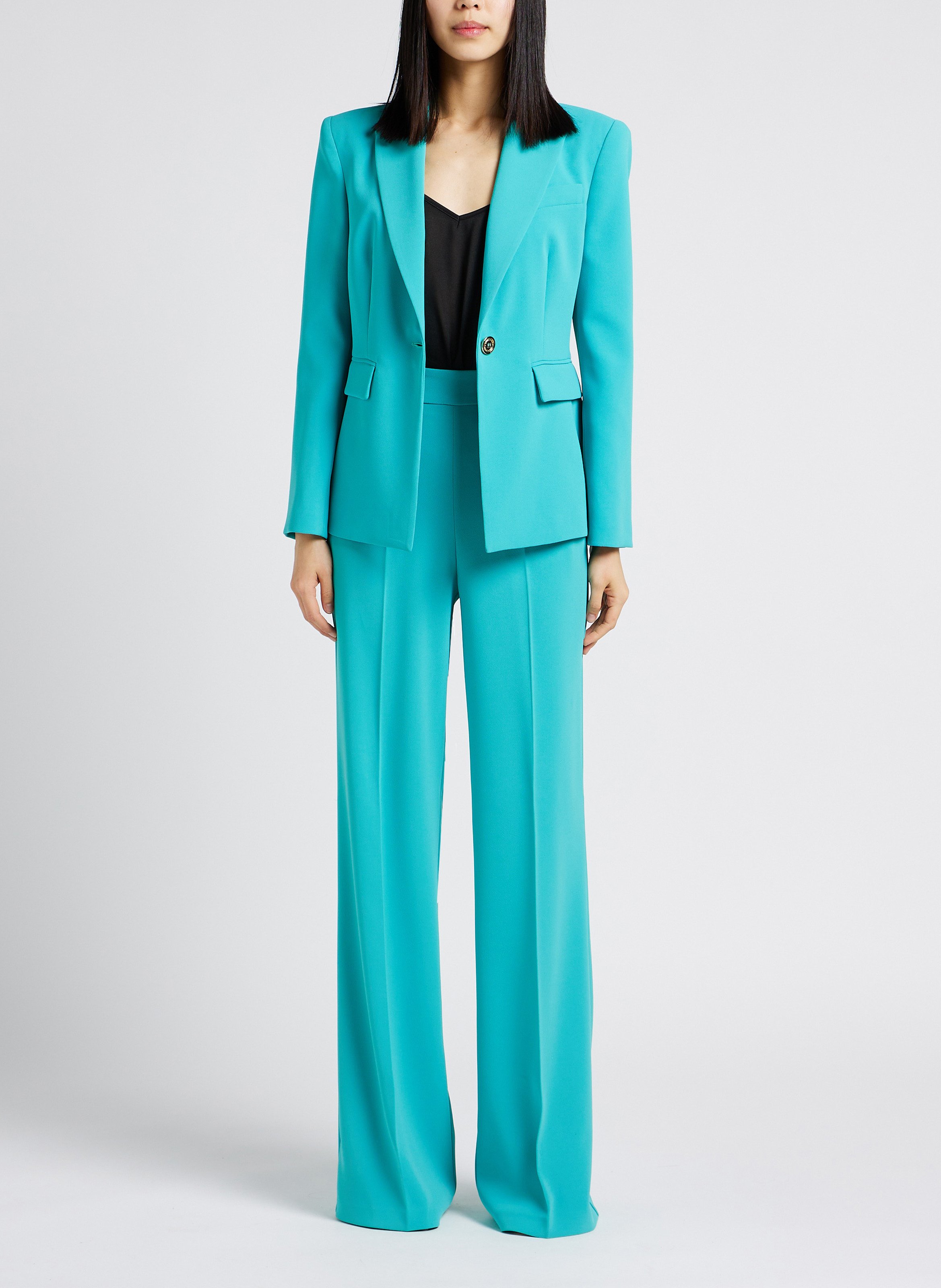 Getailleerde blazer PINKO Blauw