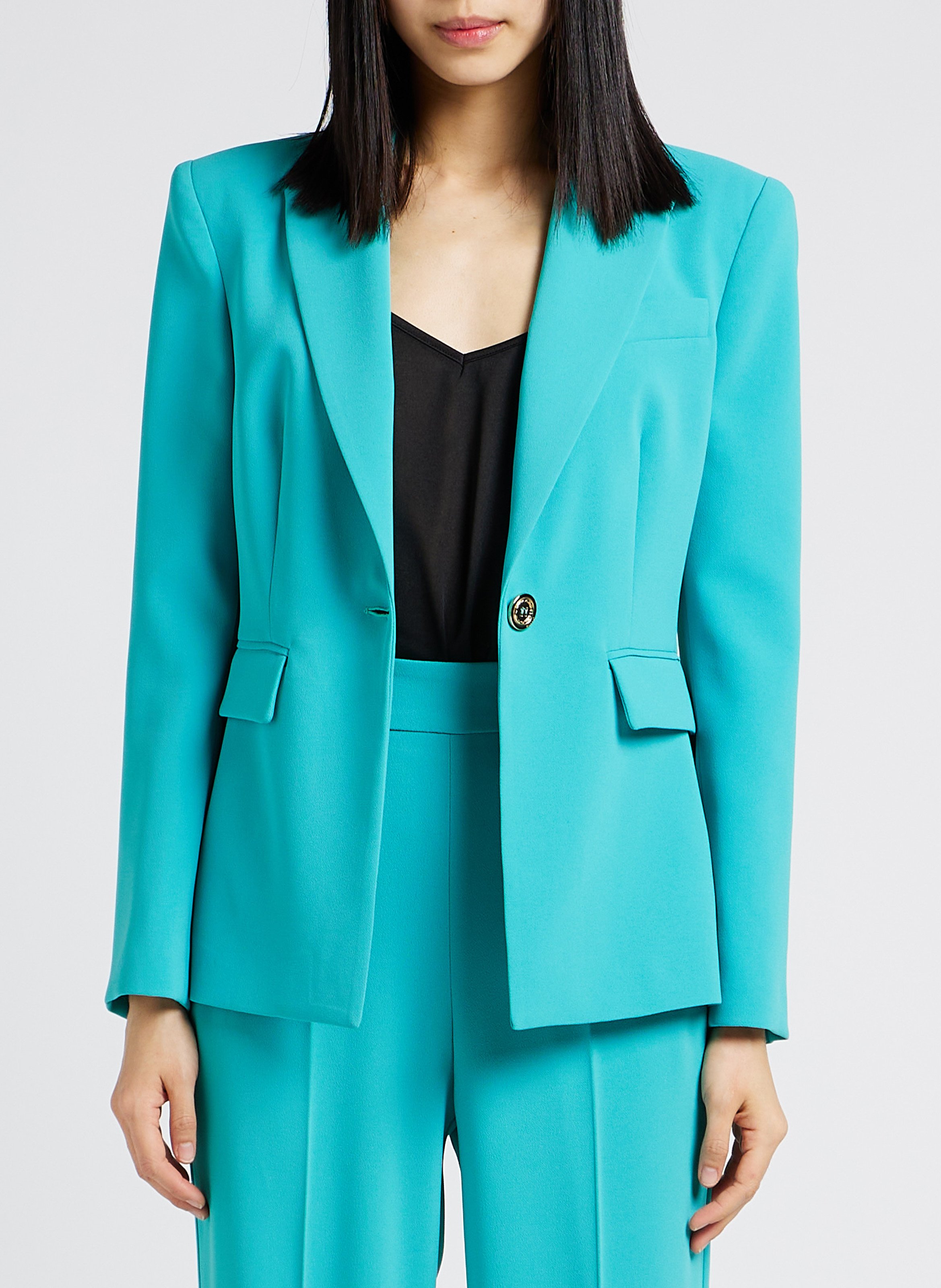 Getailleerde blazer PINKO Blauw