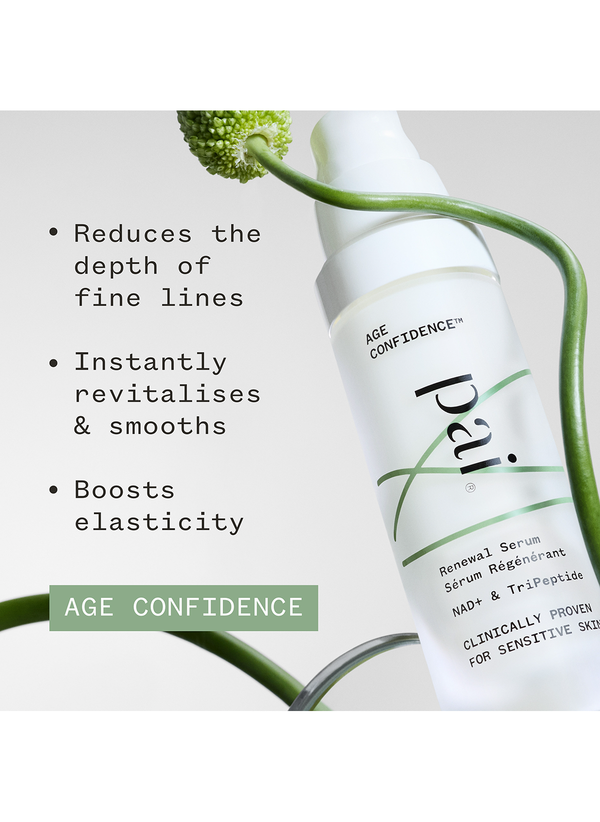 Age Confidence - Sérum Régénérant PAI SKINCARE No color