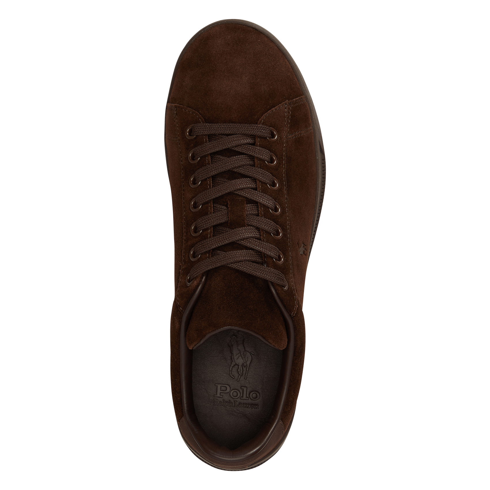 Baskets basses en cuir velours POLO RALPH LAUREN Marron