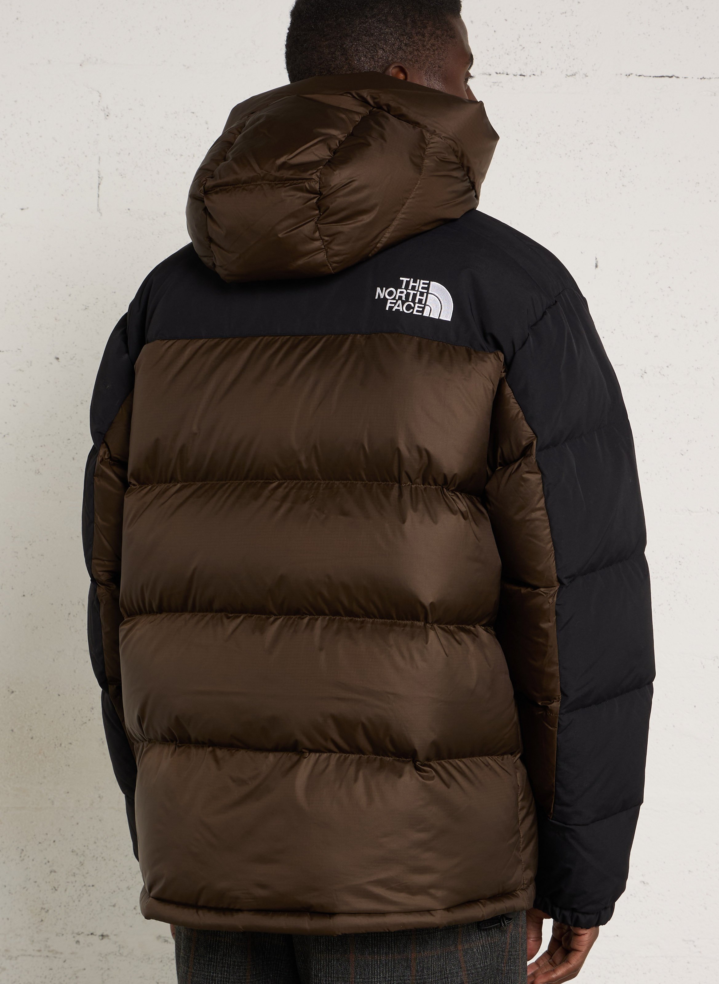 Daunenjacke | Braun THE NORTH FACE Herren