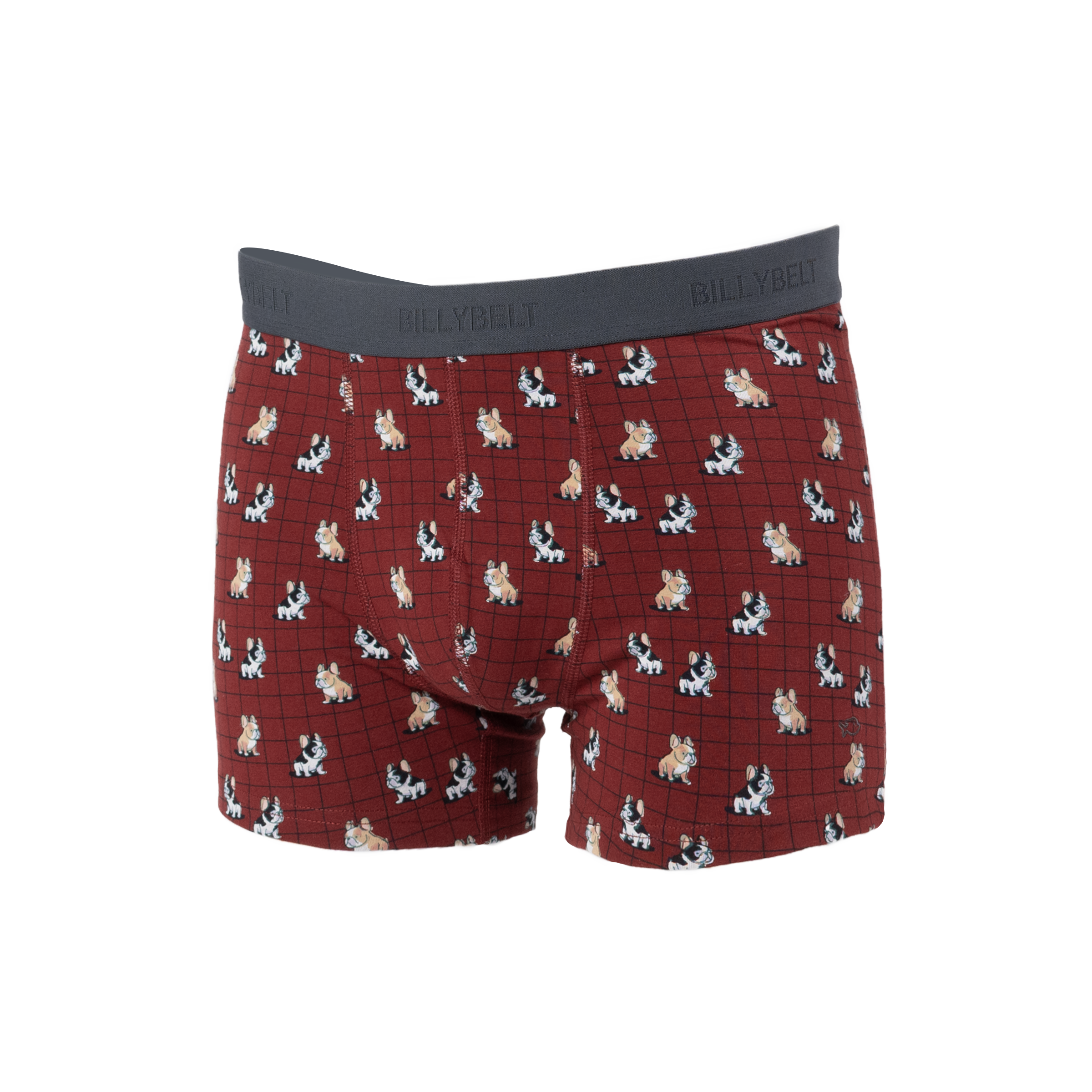 Organic cotton boxers BILLYBELT