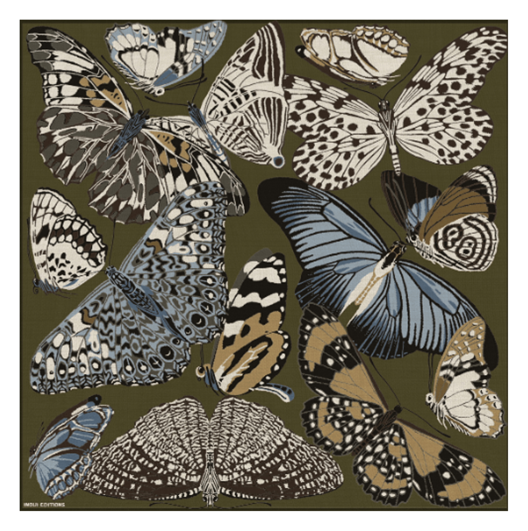 Thin square printed wool scarf INOUI EDITIONS Khaki