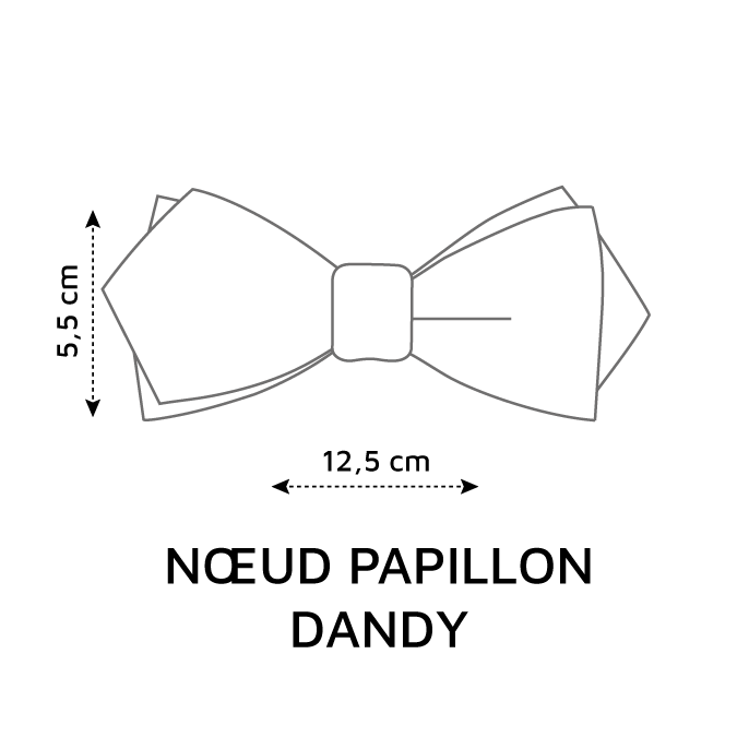 Noeud papillon denim en coton  LE COQ EN PAP' Bleu