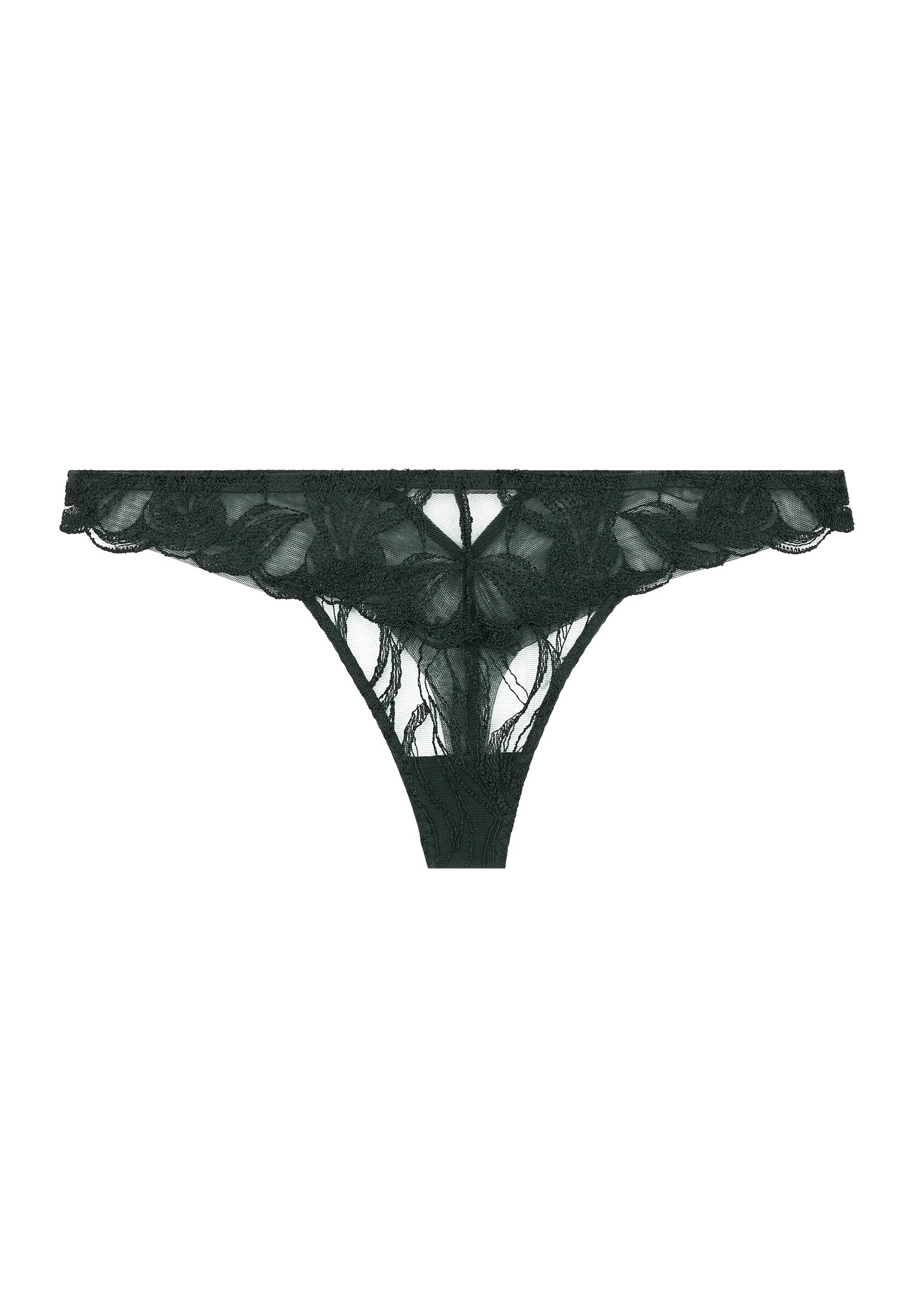 Cotton tanga AUBADE Green