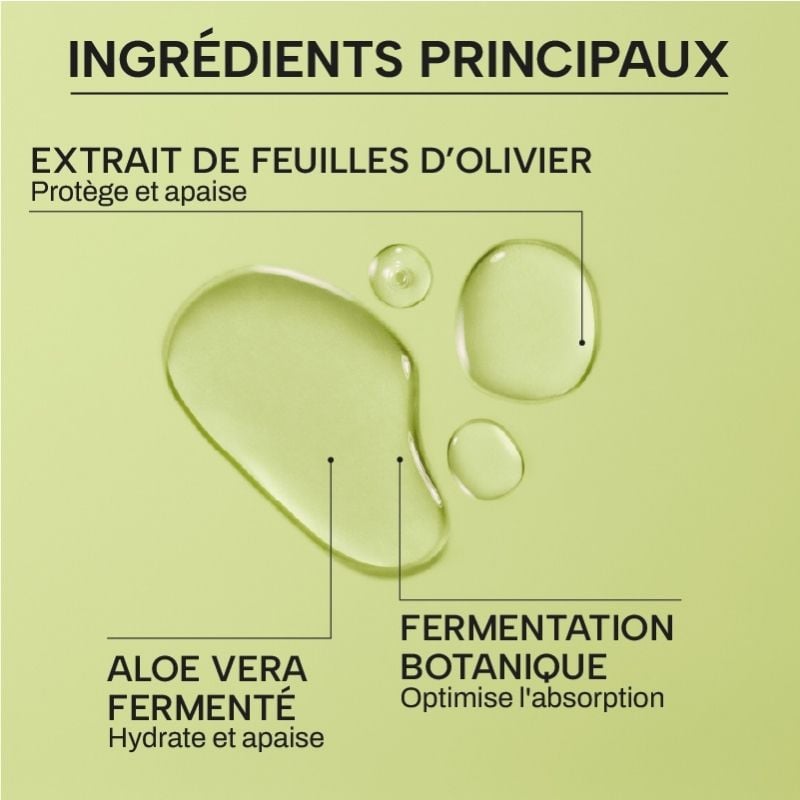 BRUME À LA FEUILLE D’OLIVIER & AUX FLEURS BIO FERMENTÉES WHAMISA No color