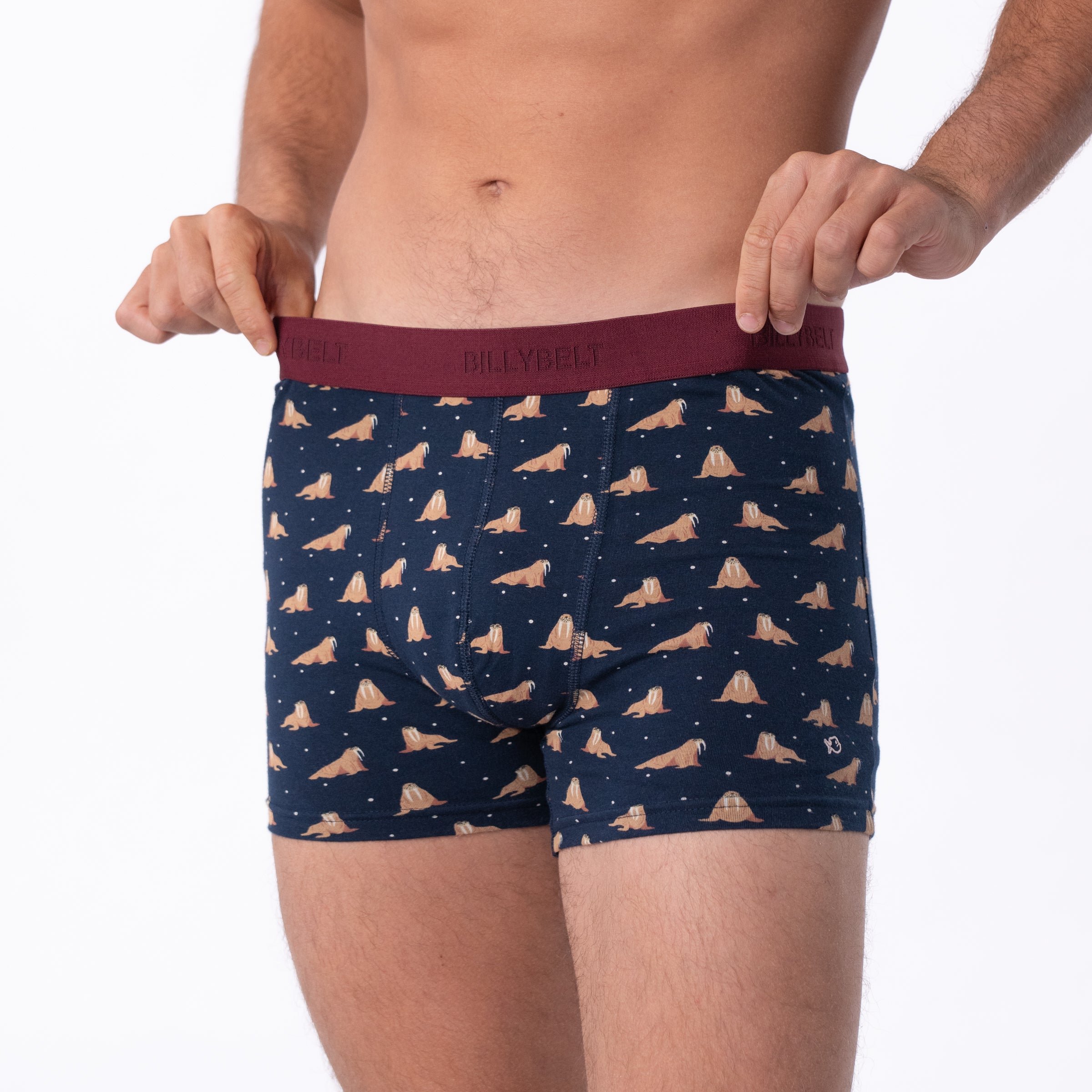 Organic cotton boxers BILLYBELT Blue