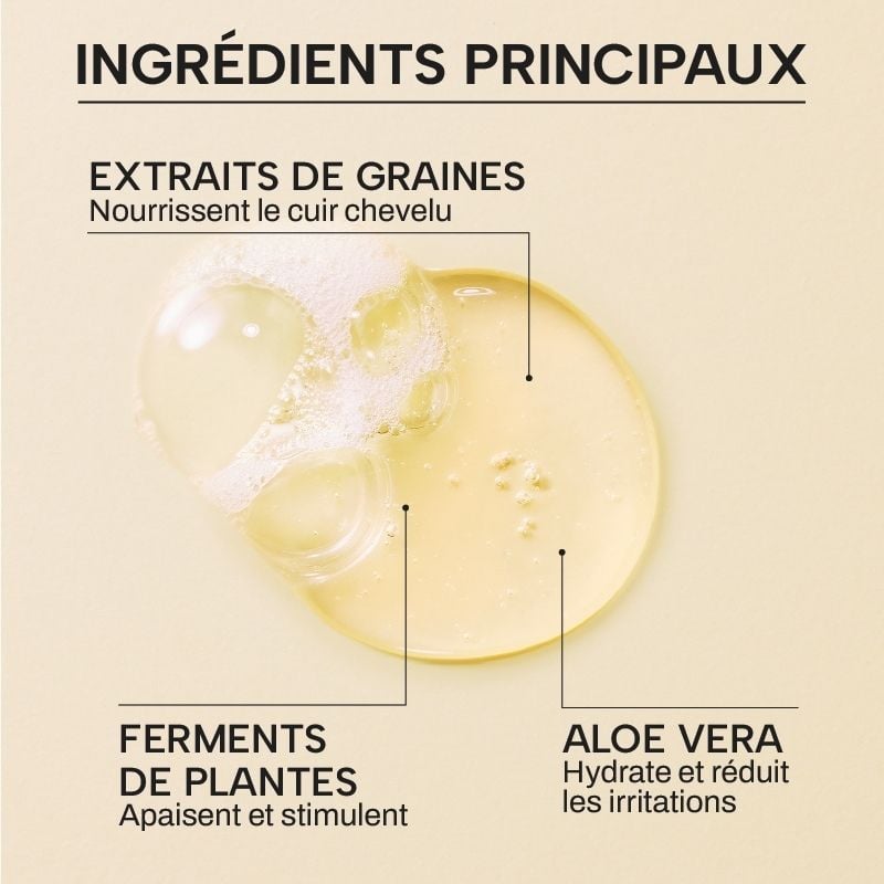 SHAMPOING CHEVEUX SECS AUX GRAINES BIO FERMENTÉES WHAMISA No color