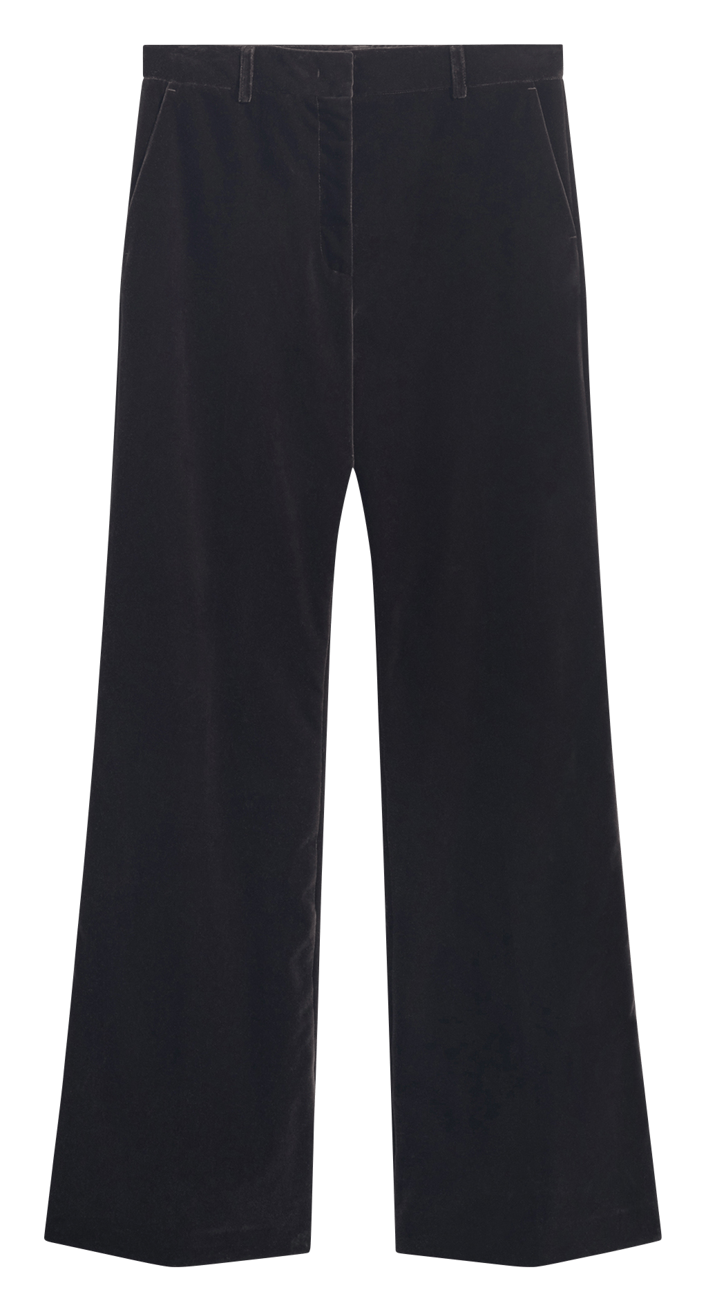 Flare velvet smooth pants PABLO Brown